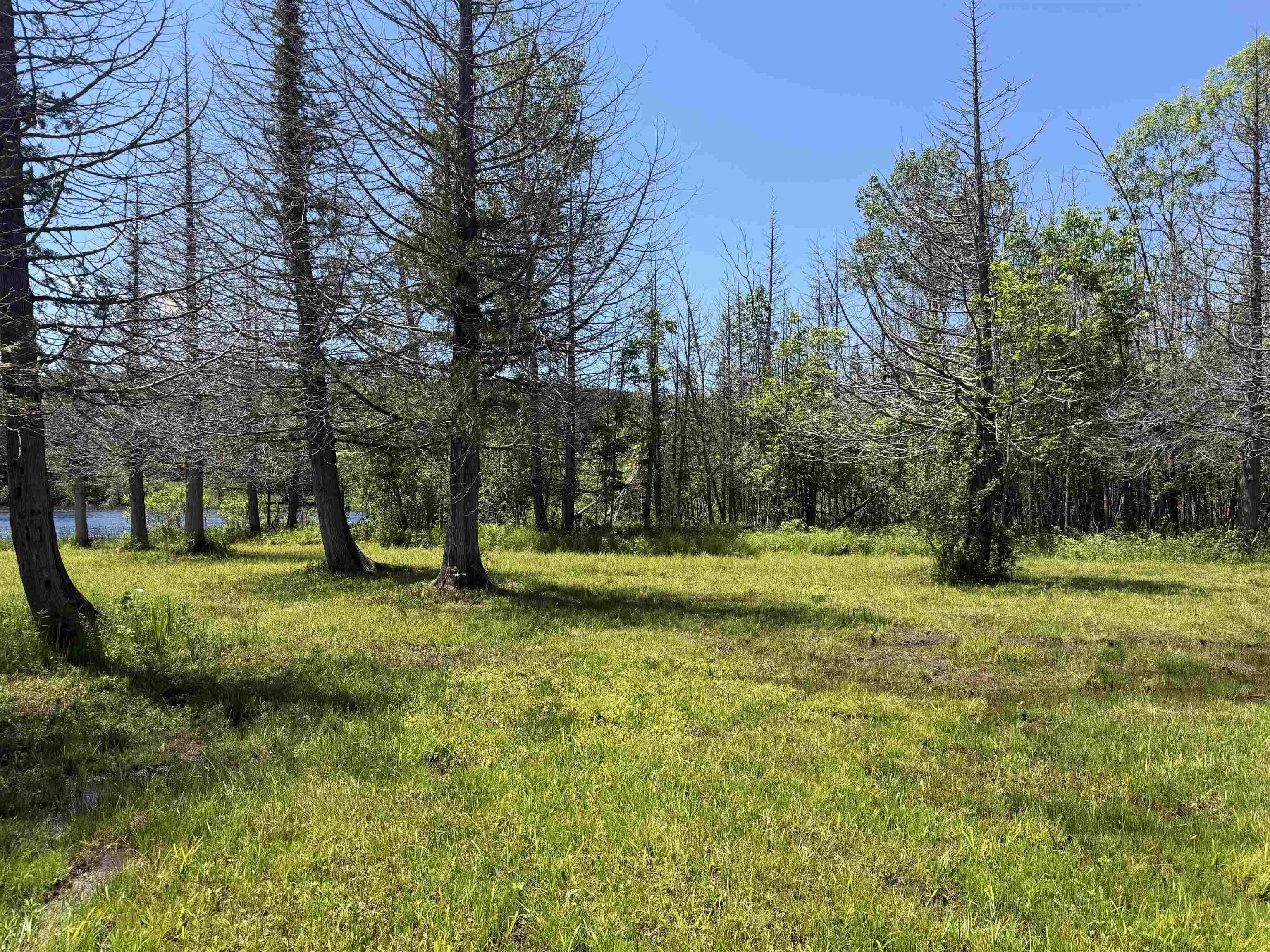 6263 East Jordan Road Property Photo 32