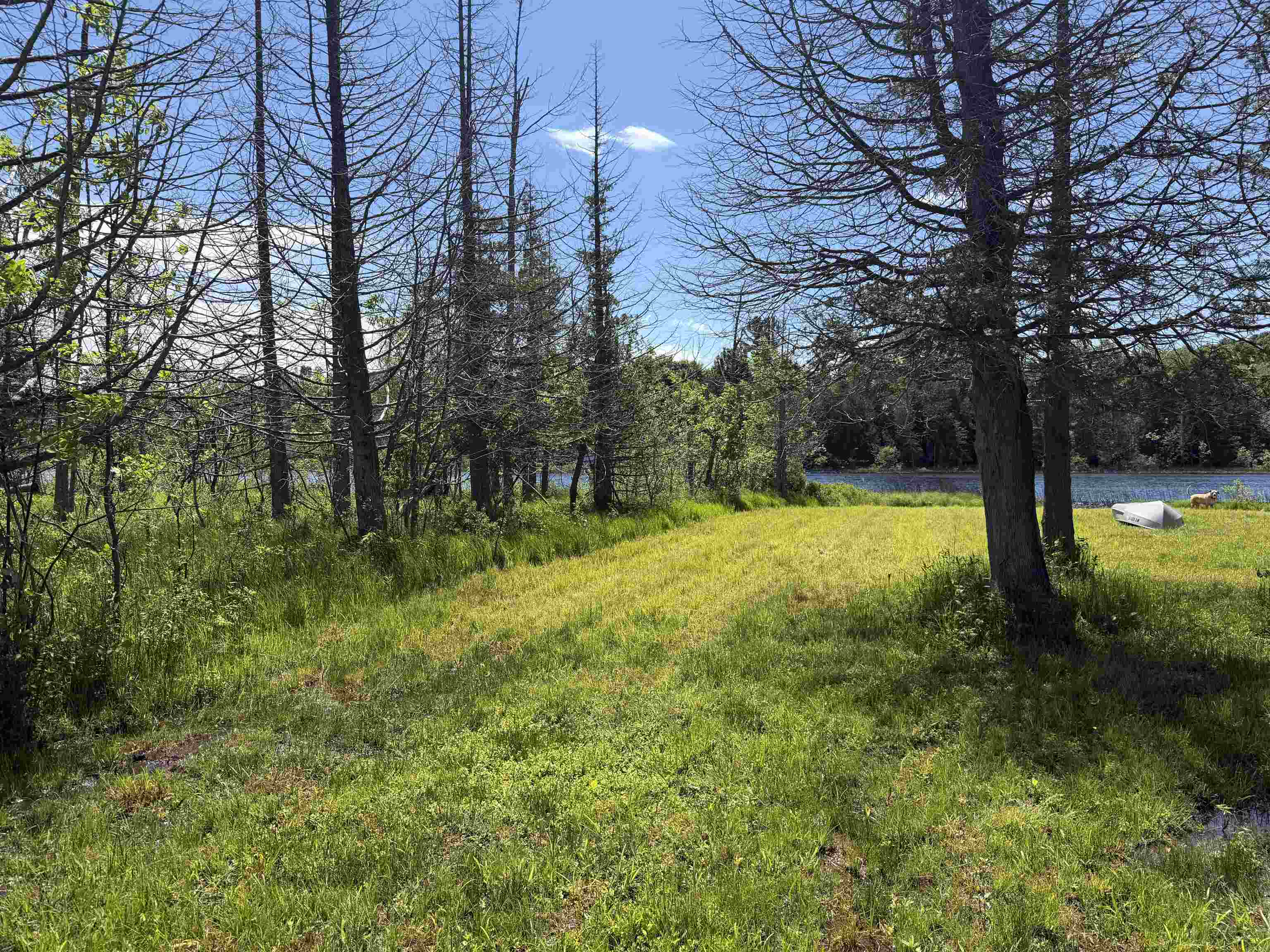 6263 East Jordan Road Property Photo 33