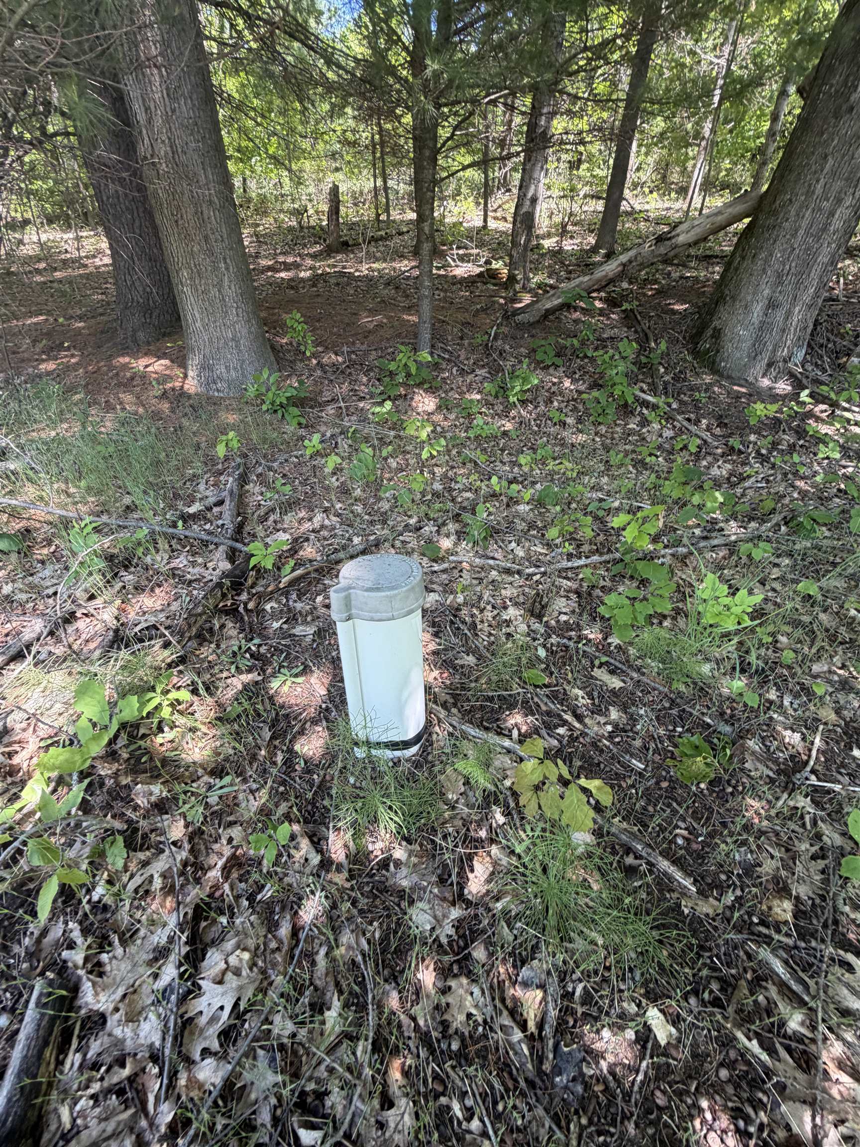 6263 East Jordan Road Property Photo 36