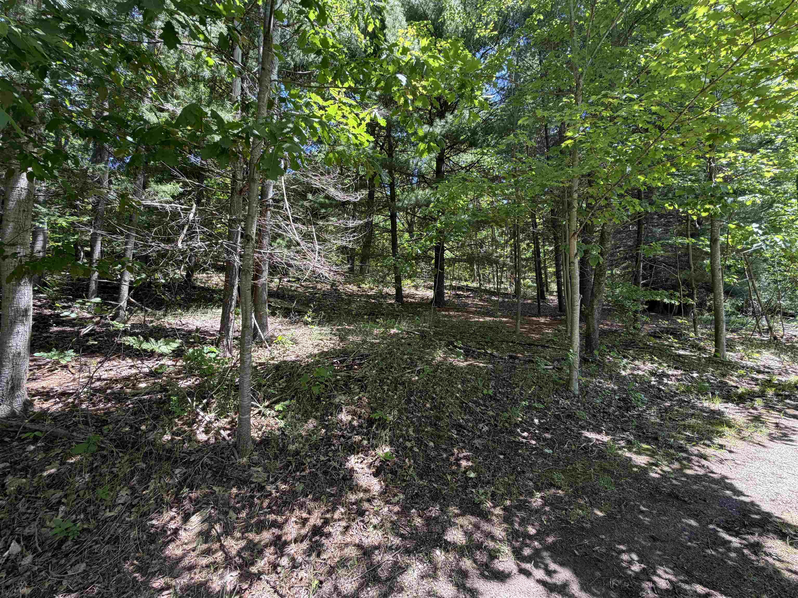 6263 East Jordan Road Property Photo 38