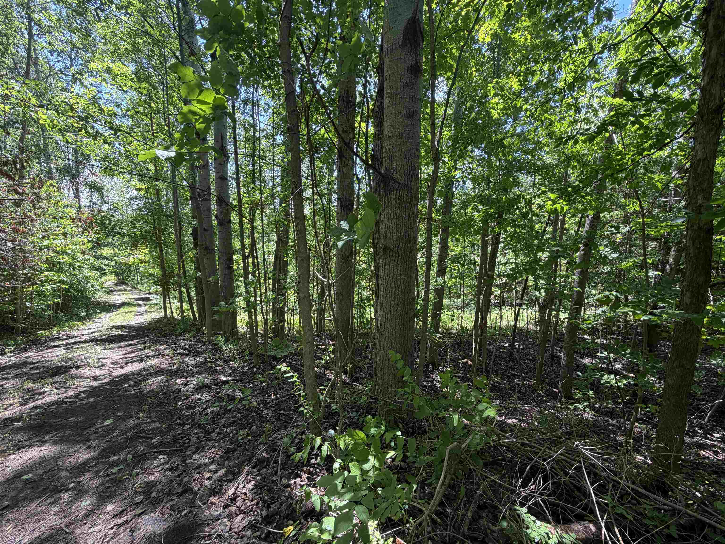 6263 East Jordan Road Property Photo 39