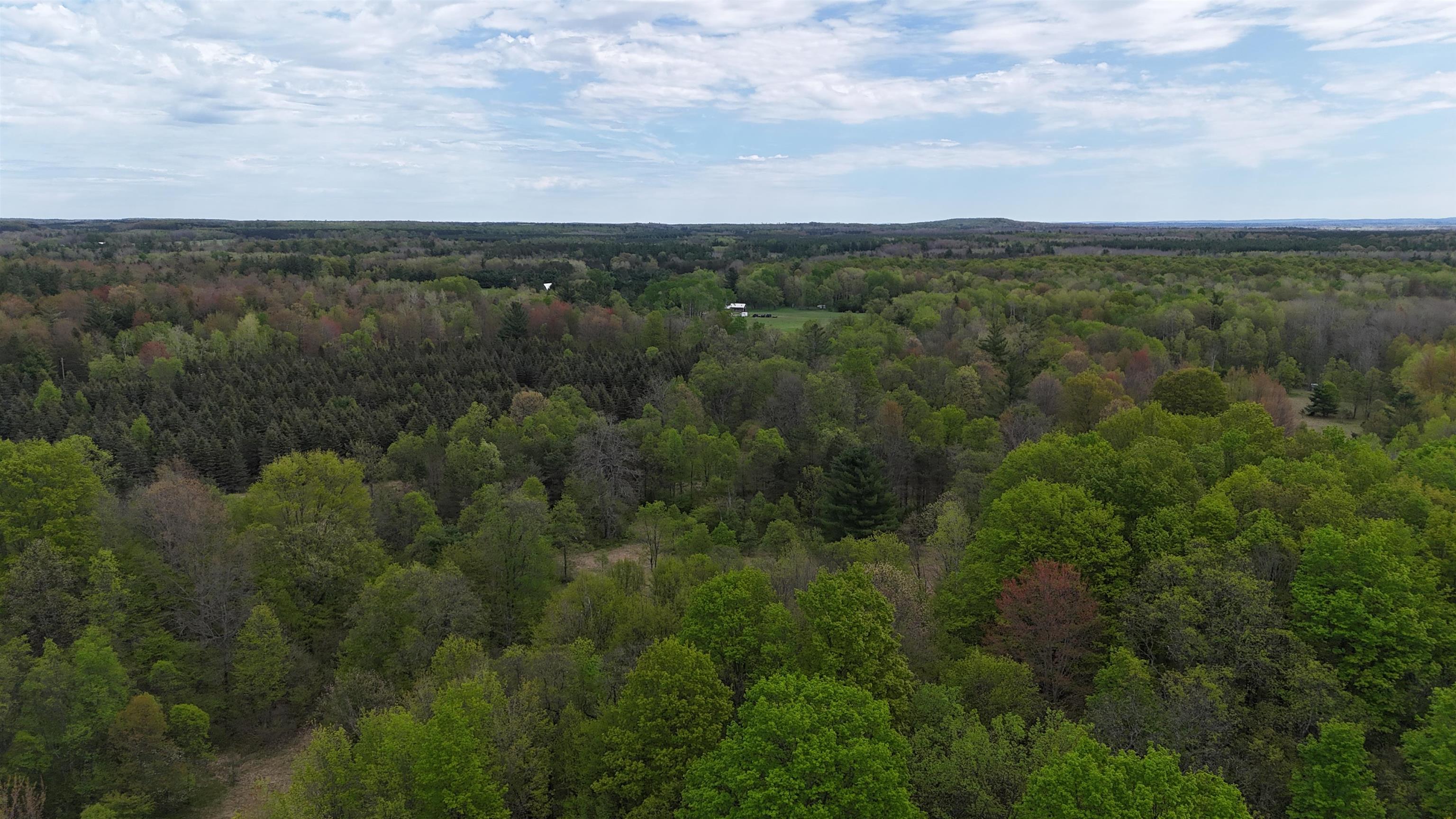 Vl 19 Road Property Photo 2
