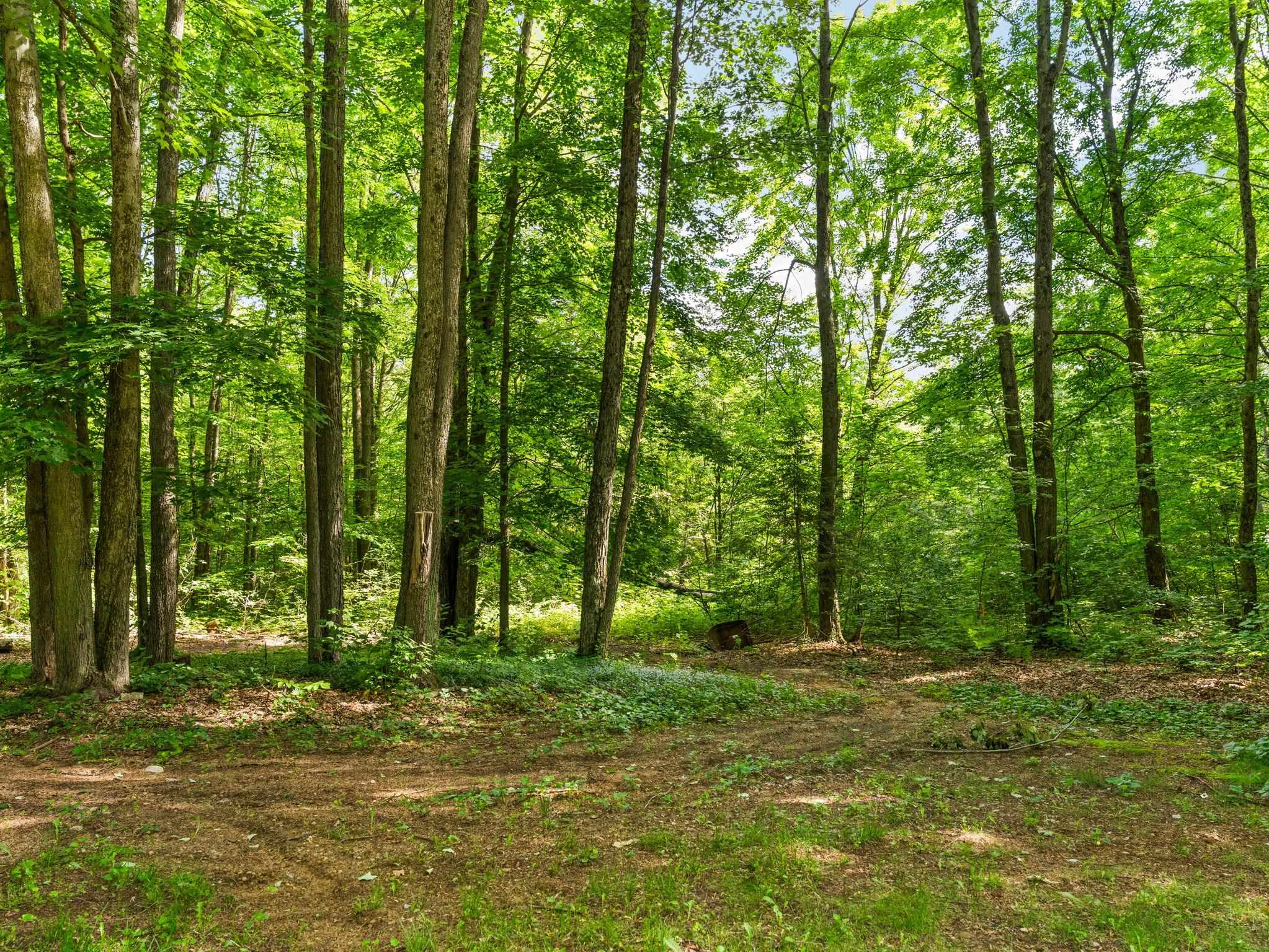3527 S 31 Road Property Photo 56