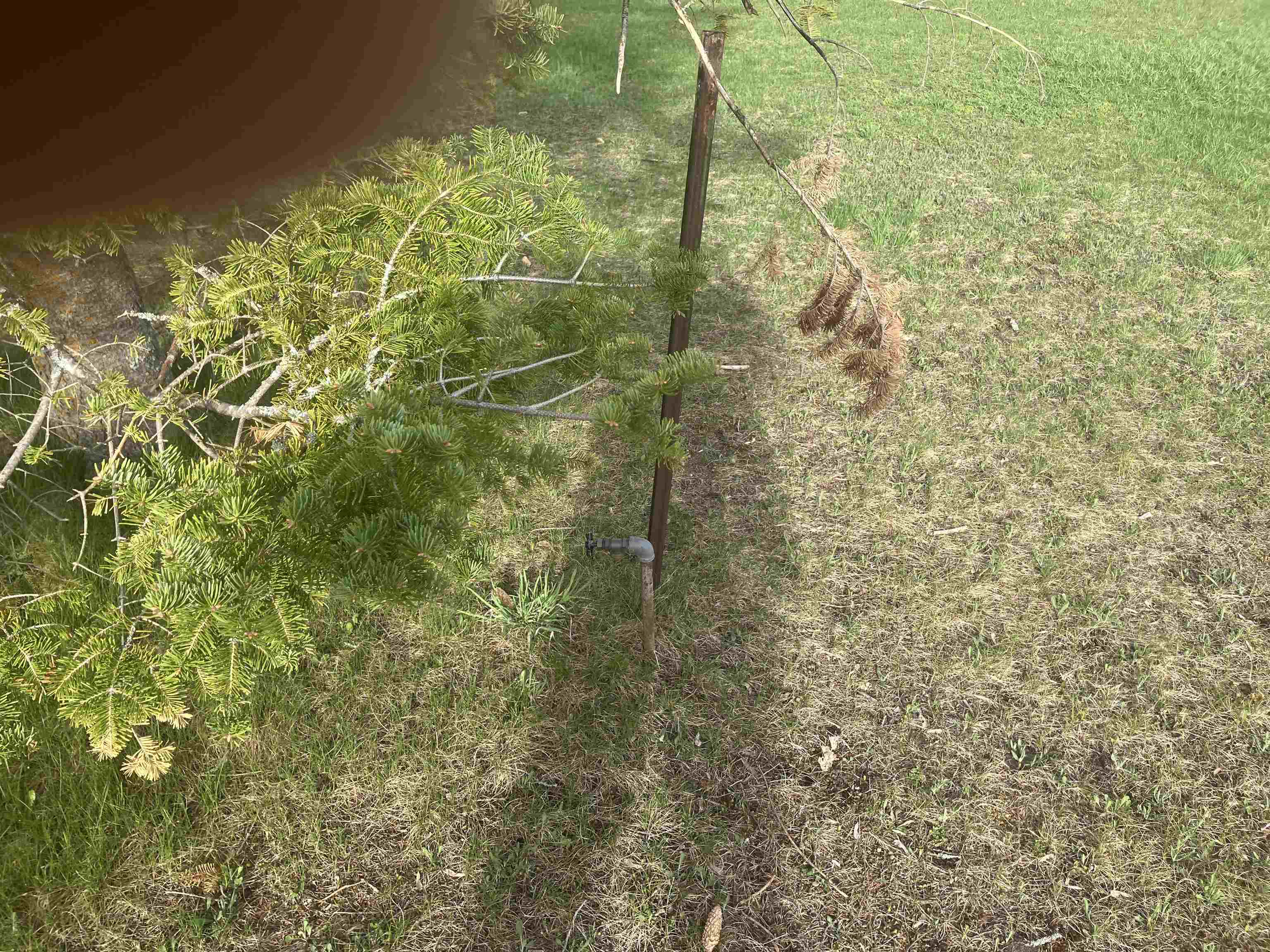 213 Hyde Street Property Photo 7