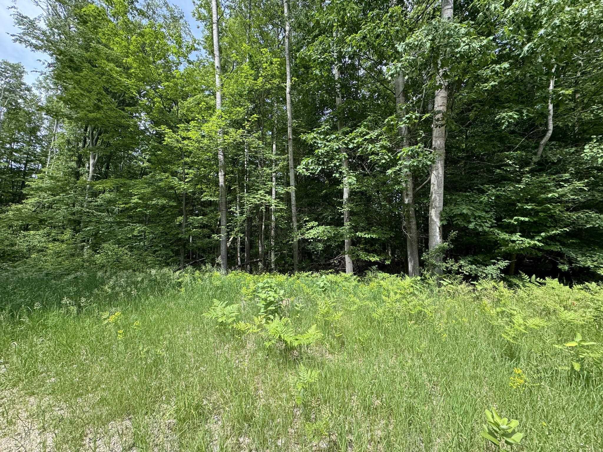 Knoll One Drive Property Photo 1