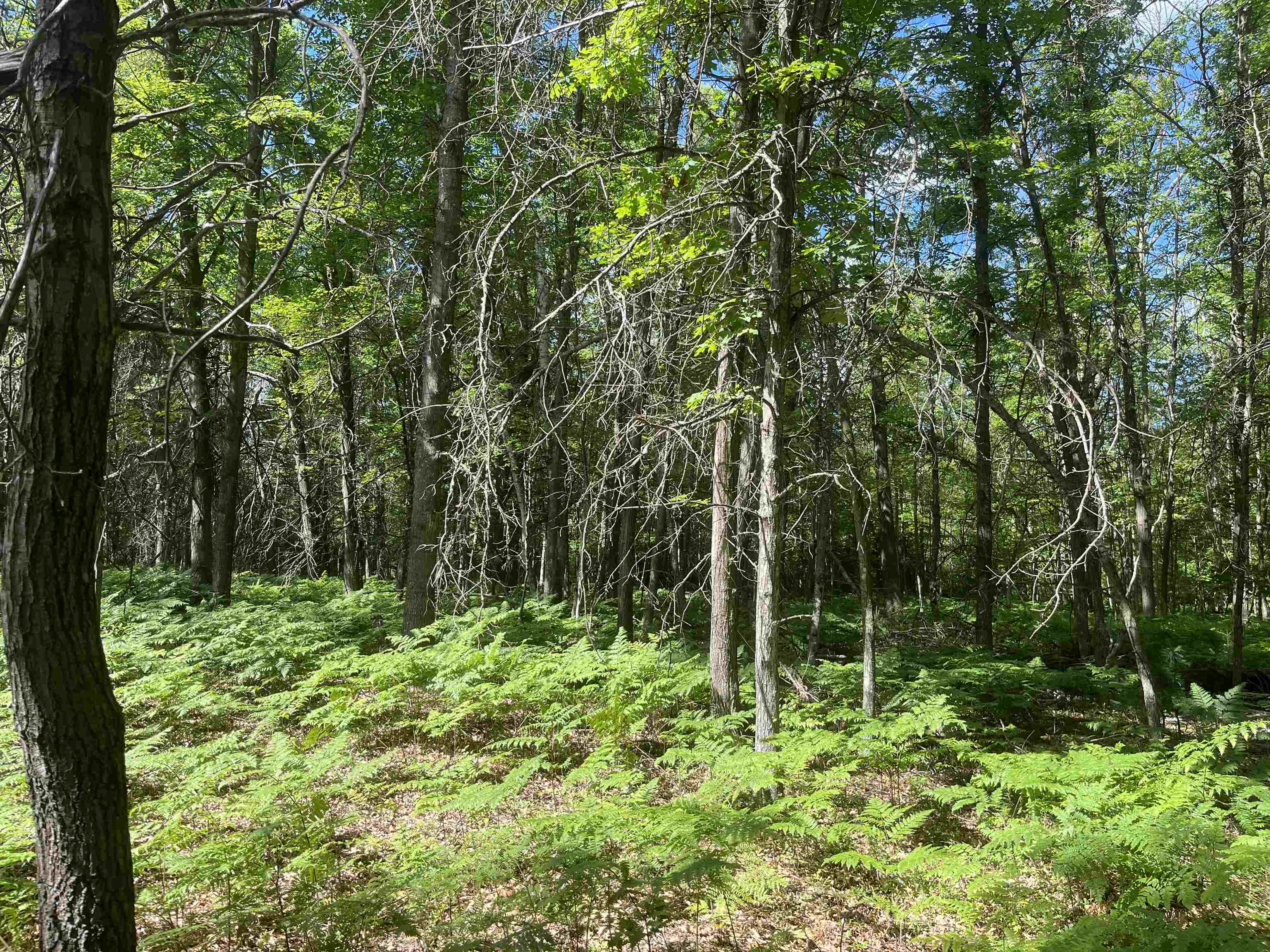 Nka Washington Road Property Photo 16