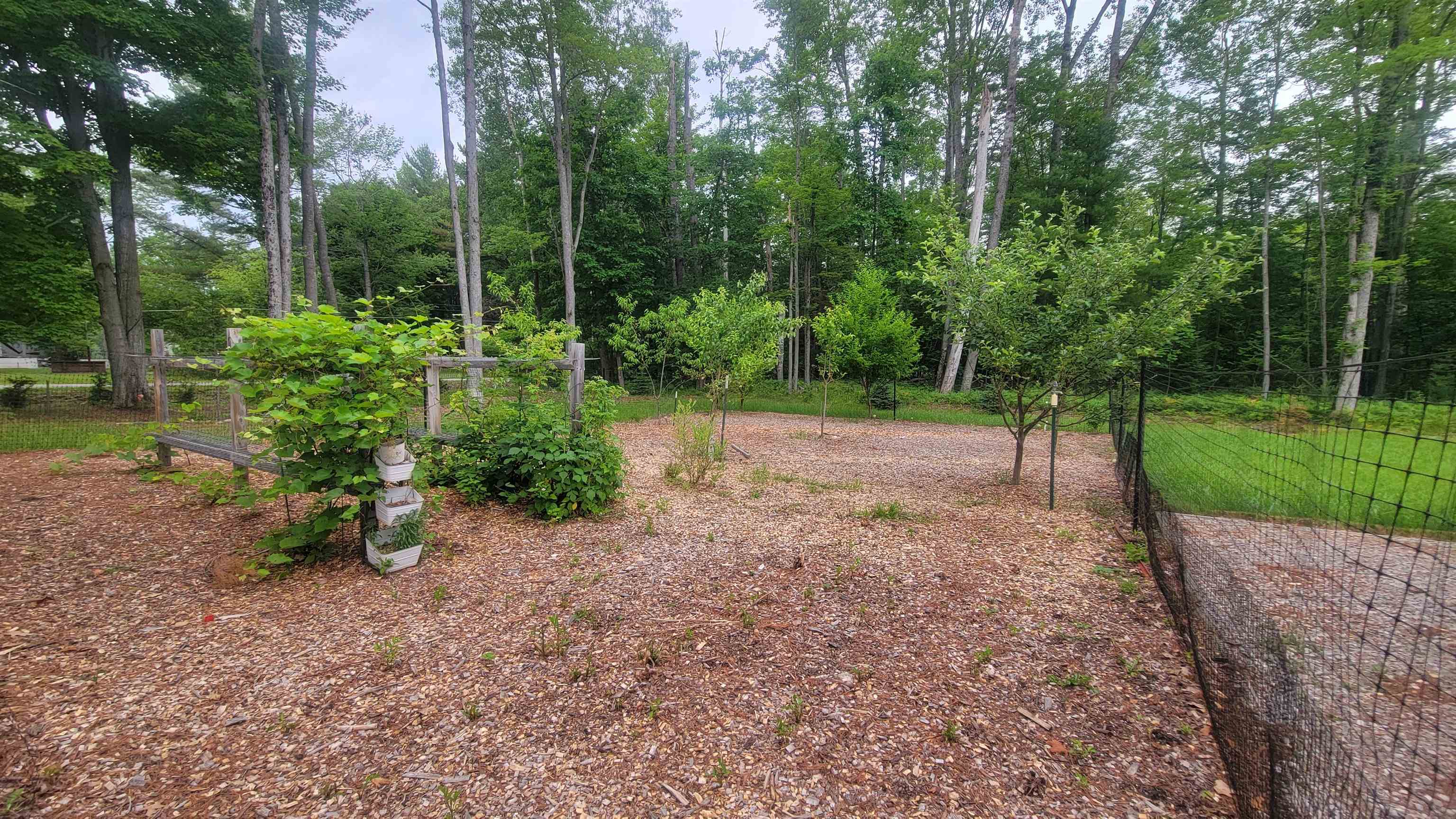 3619 Chippewa Drive Property Photo 21