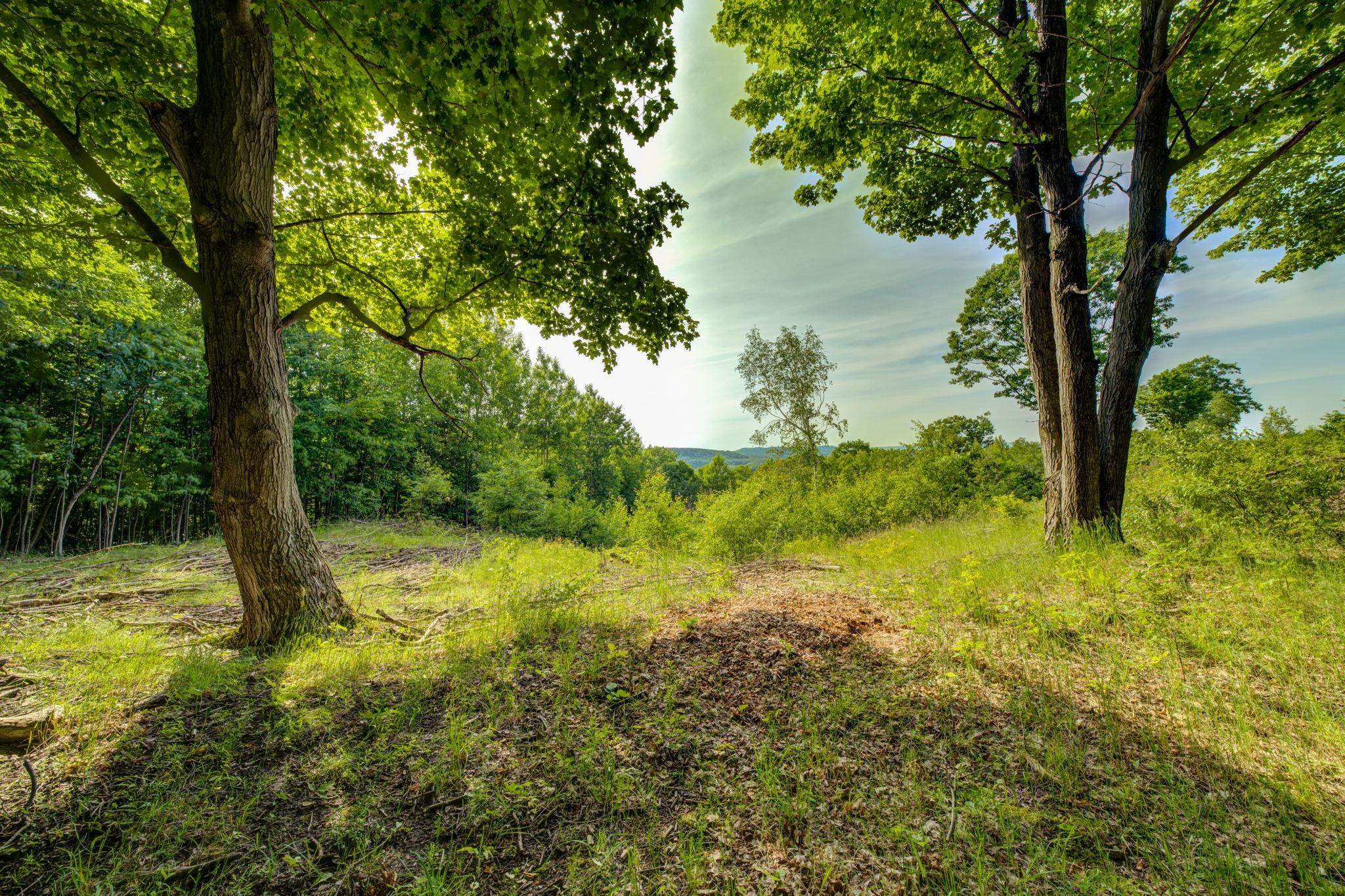 Lot 9 W Harbour Ridge Property Photo 14