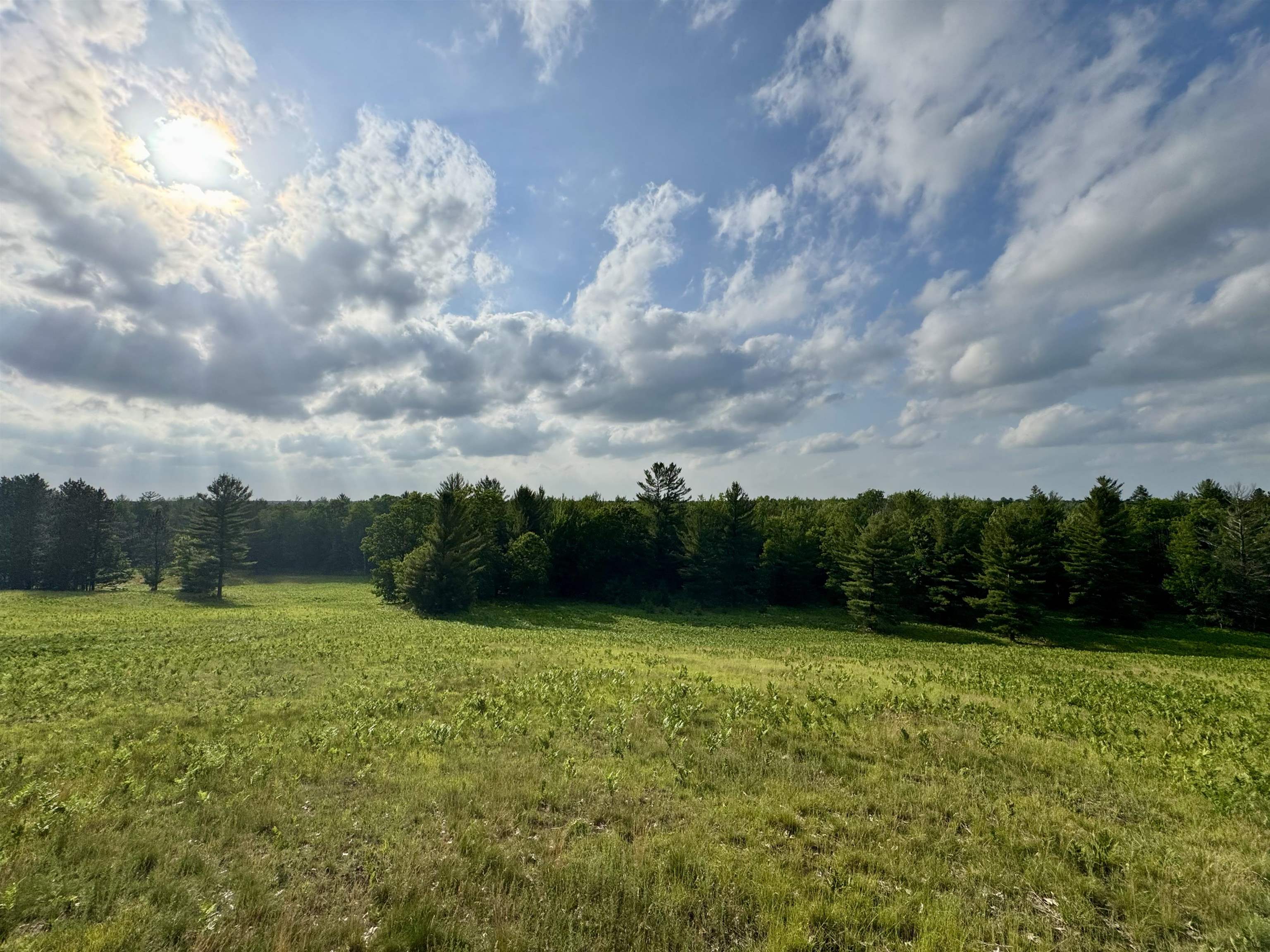 4264 Sw Bald Eagles View Property Photo 1