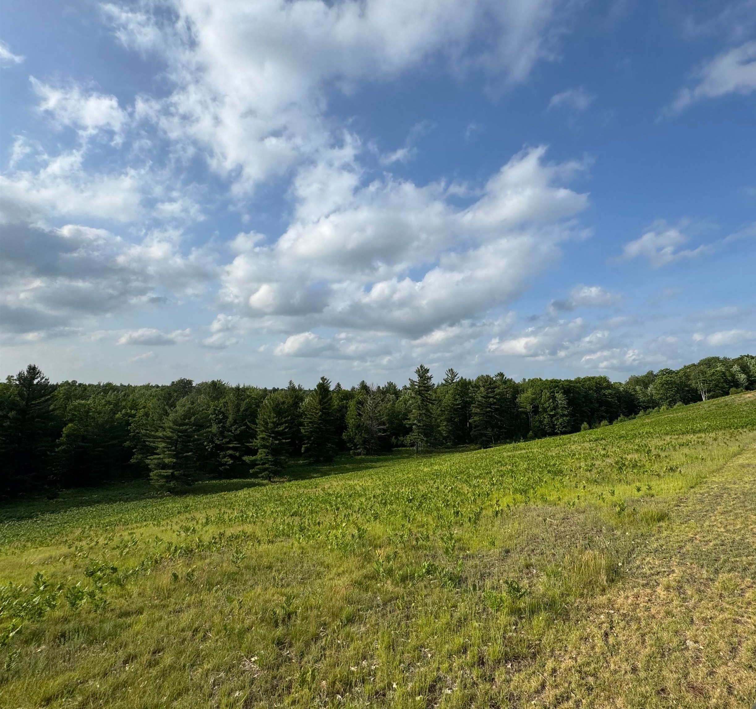 4264 Sw Bald Eagles View Property Photo 4