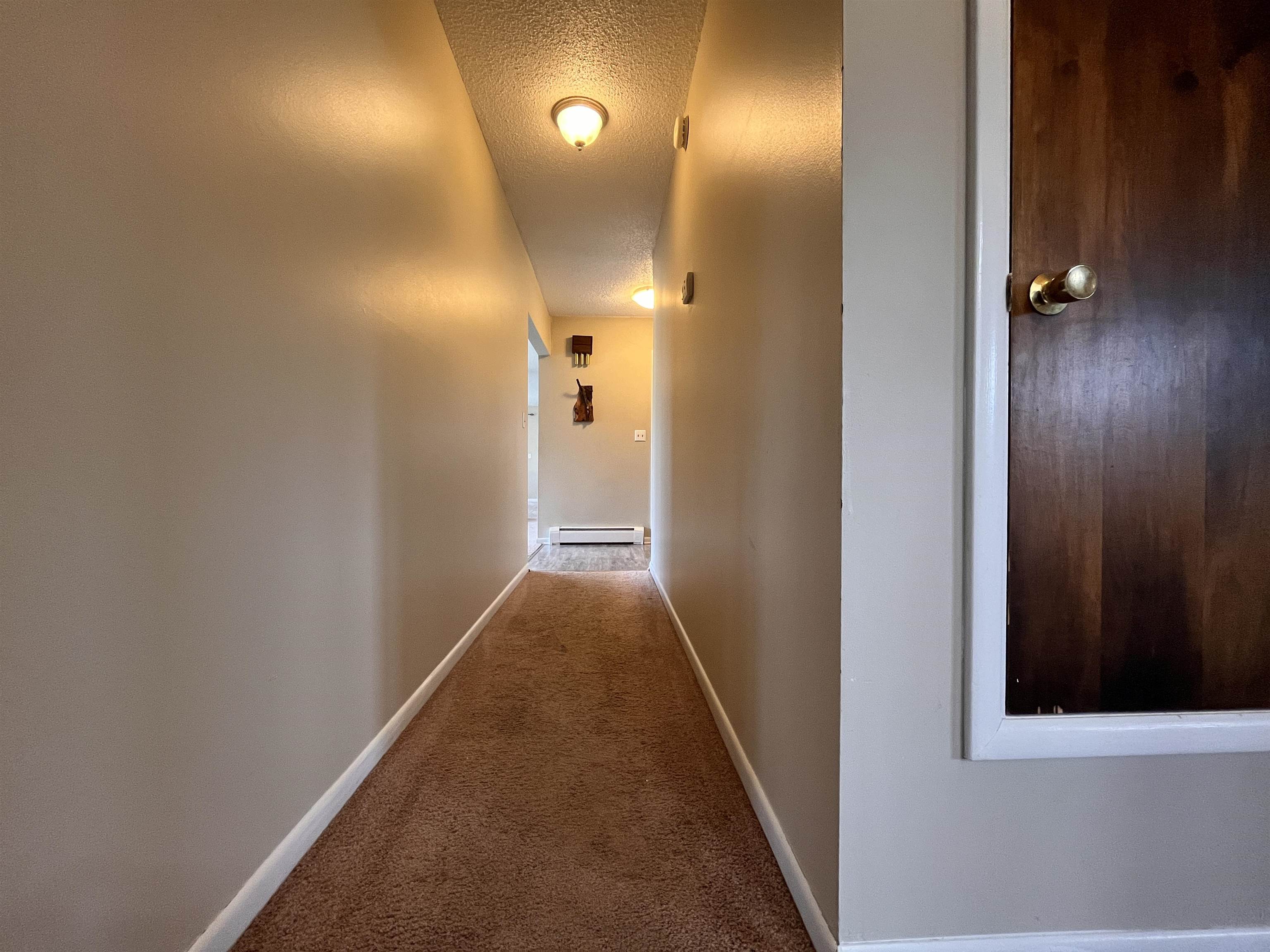 402 S Division Street Property Photo 42