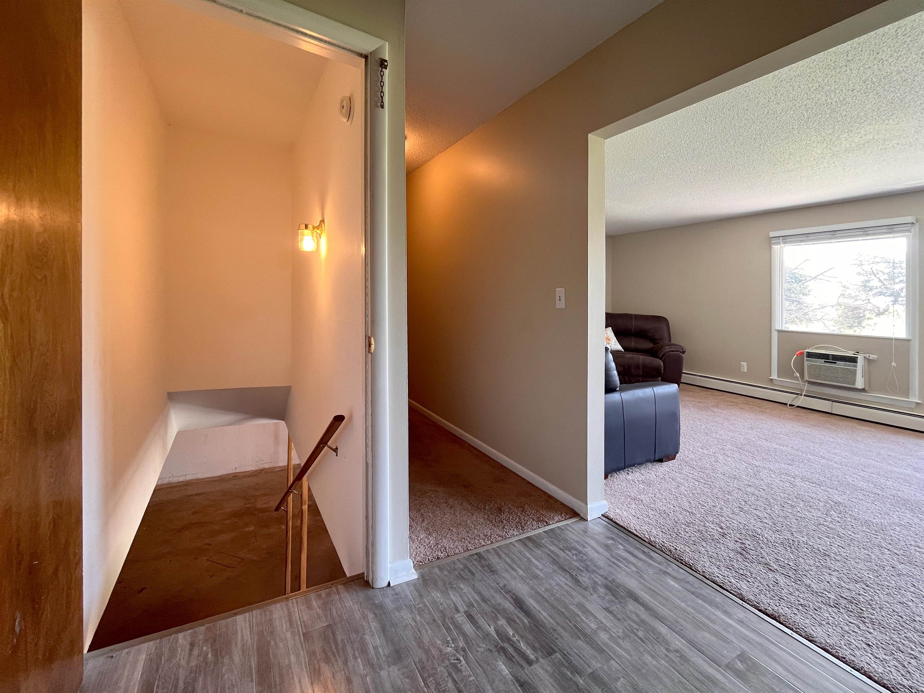 402 S Division Street Property Photo 43