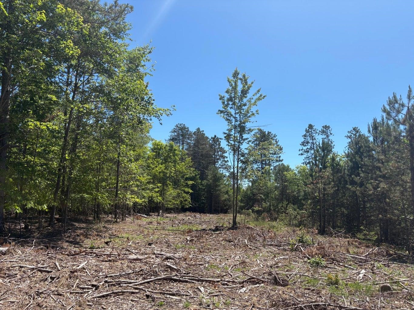 5.67 Acres Norconk Road Property Photo 5