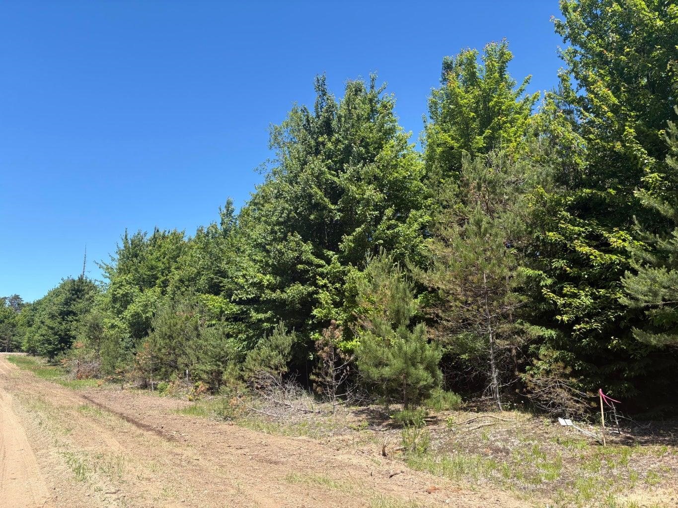 5.67 Acres Norconk Road Property Photo 6