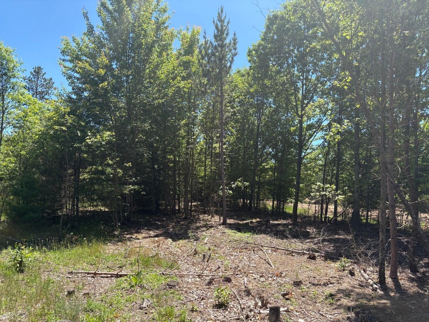5.67 Acres Norconk Road Property Photo 14