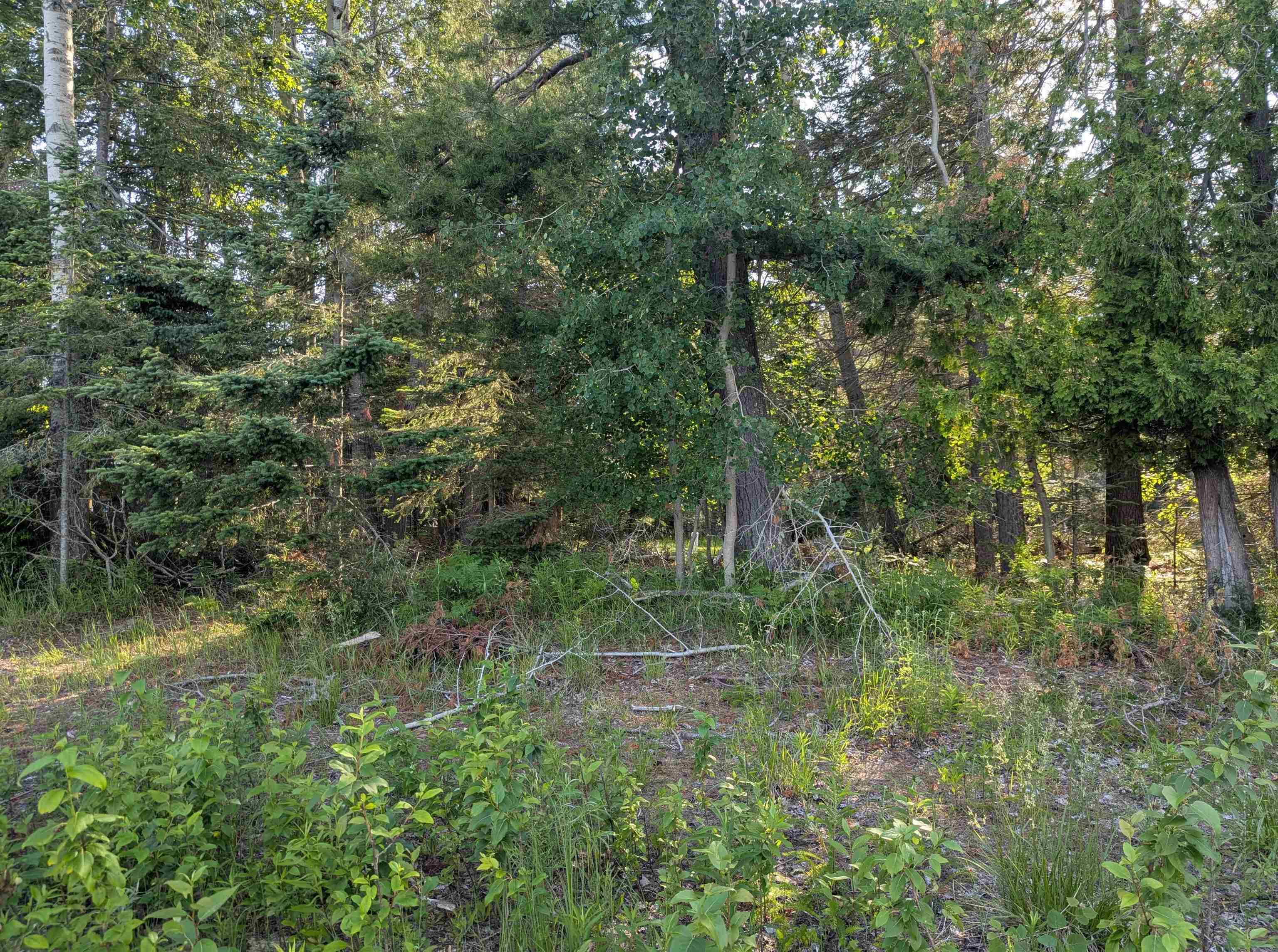 N/a N Lake Shore Drive Property Photo 13