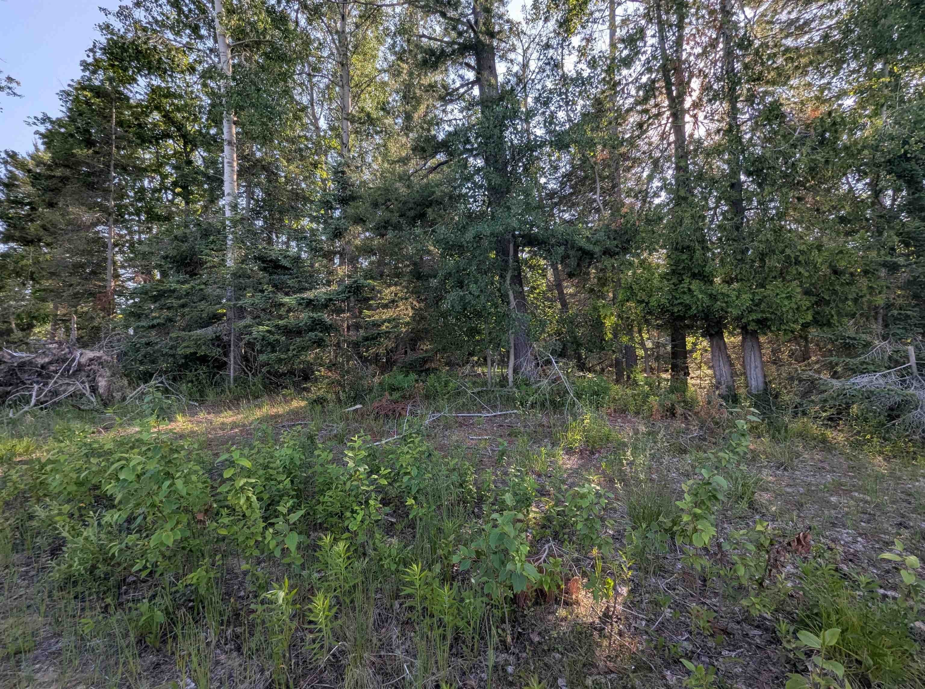 N/a N Lake Shore Drive Property Photo 14