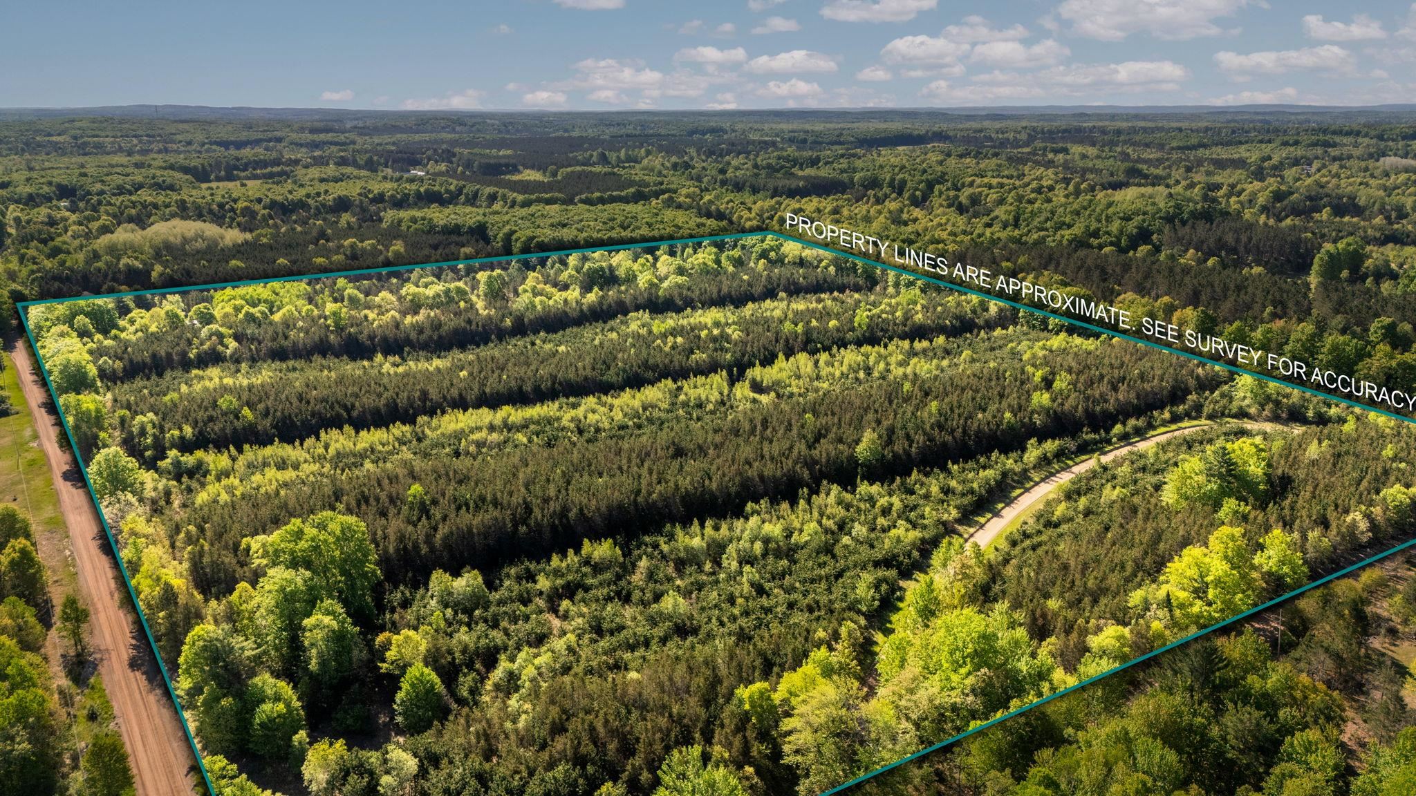 Lot A 6.36 Ac Cedar Creek Road Property Photo 2