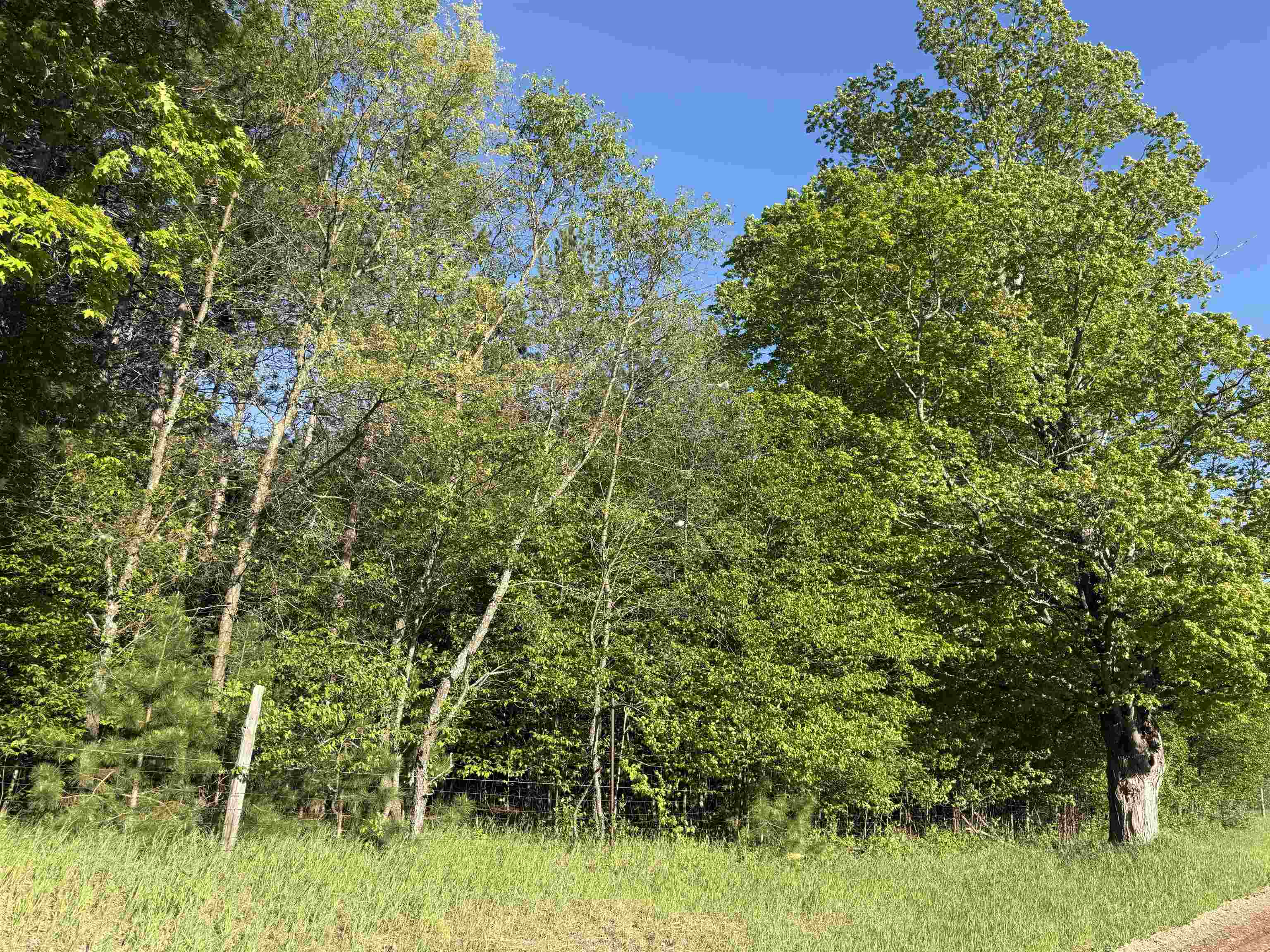 Lot A 6.36 Ac Cedar Creek Road Property Photo 4