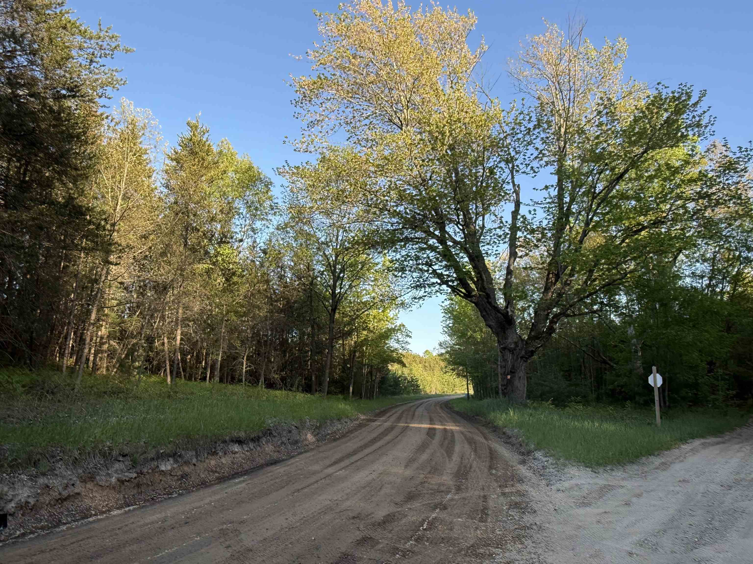 Lot A 6.36 Ac Cedar Creek Road Property Photo 7