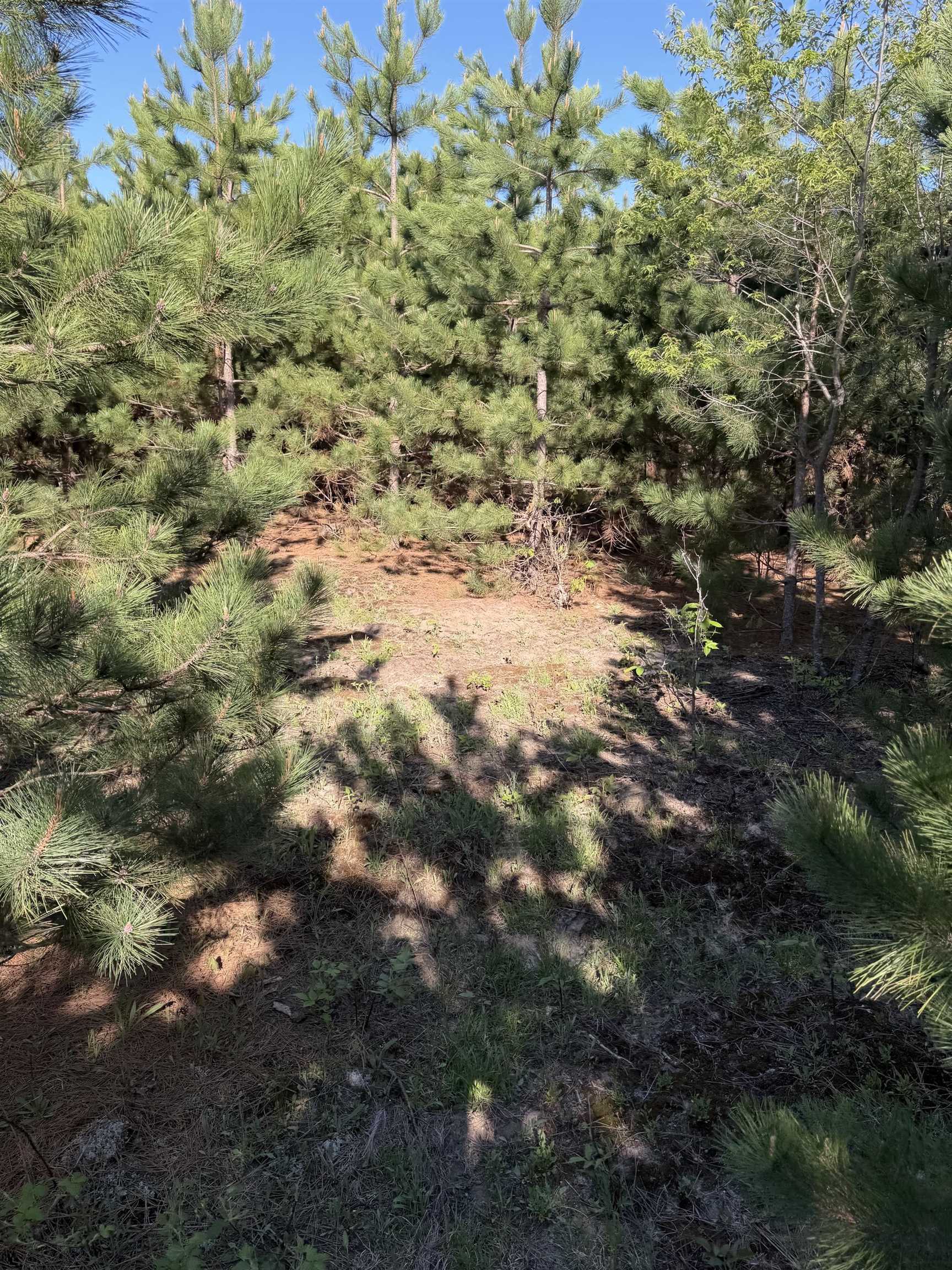 Lot A 6.36 Ac Cedar Creek Road Property Photo 12