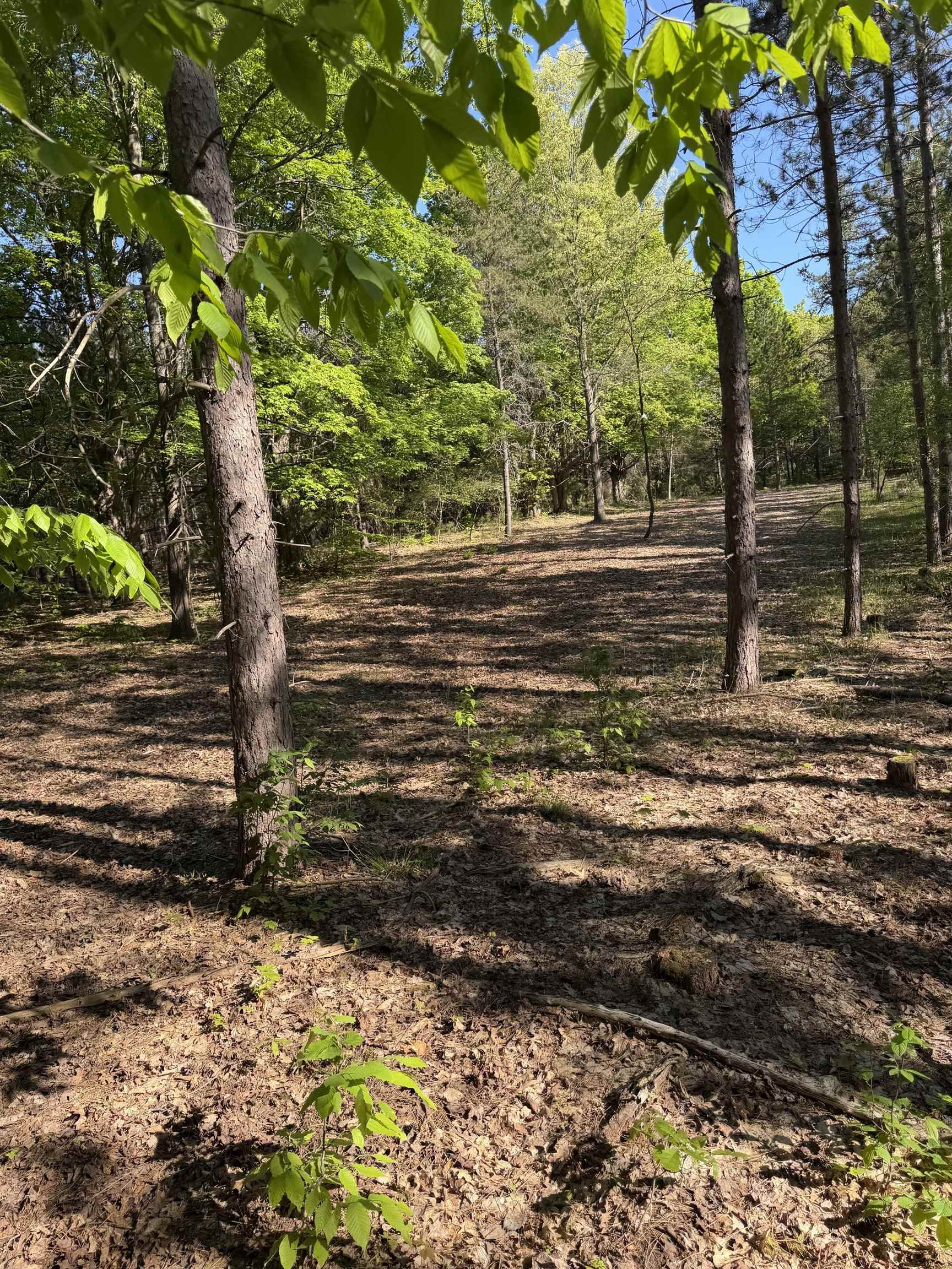 Lot A 6.36 Ac Cedar Creek Road Property Photo 14