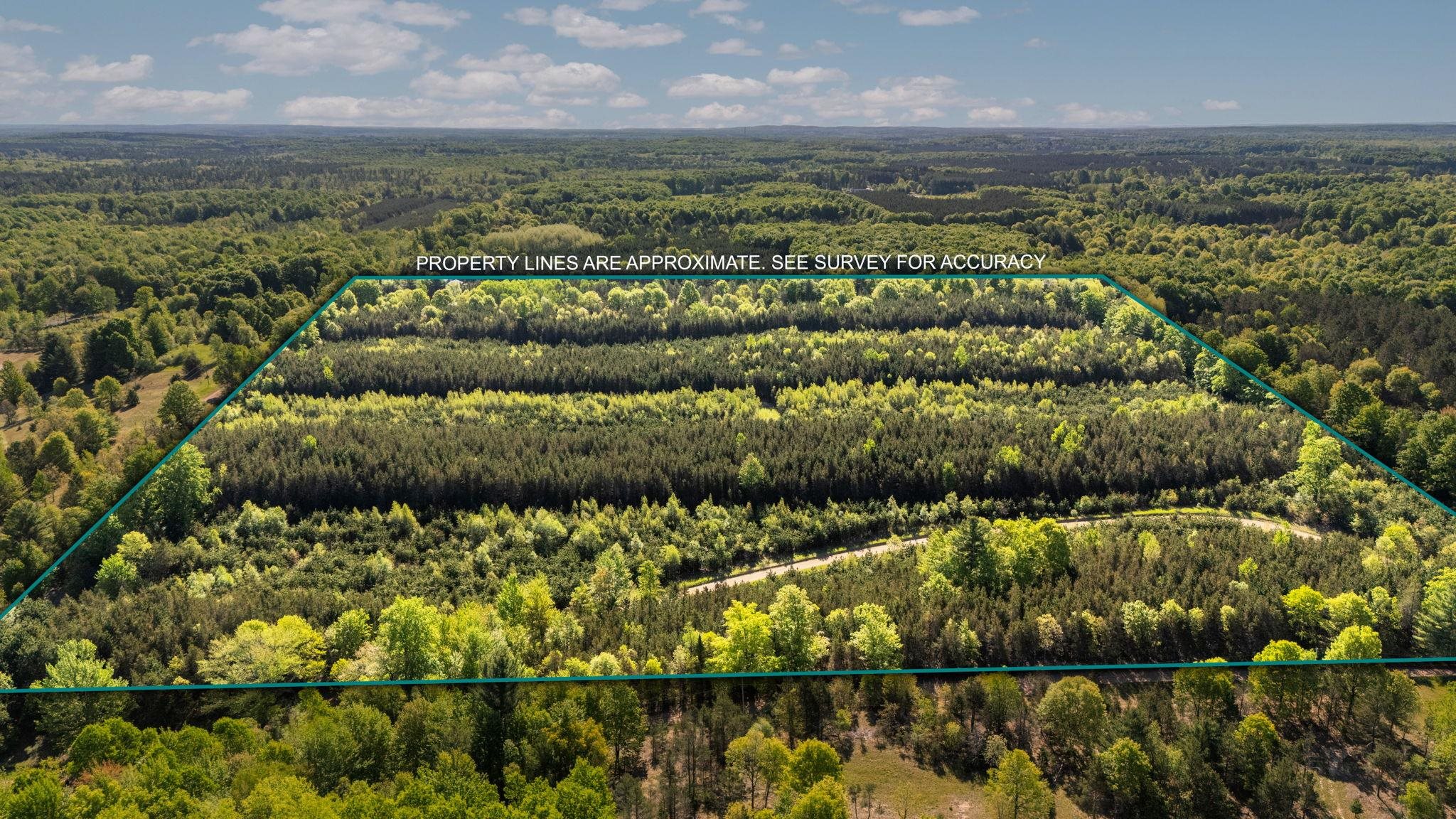 Lot B 5.28 Ac Cedar Creek Road Property Photo 1