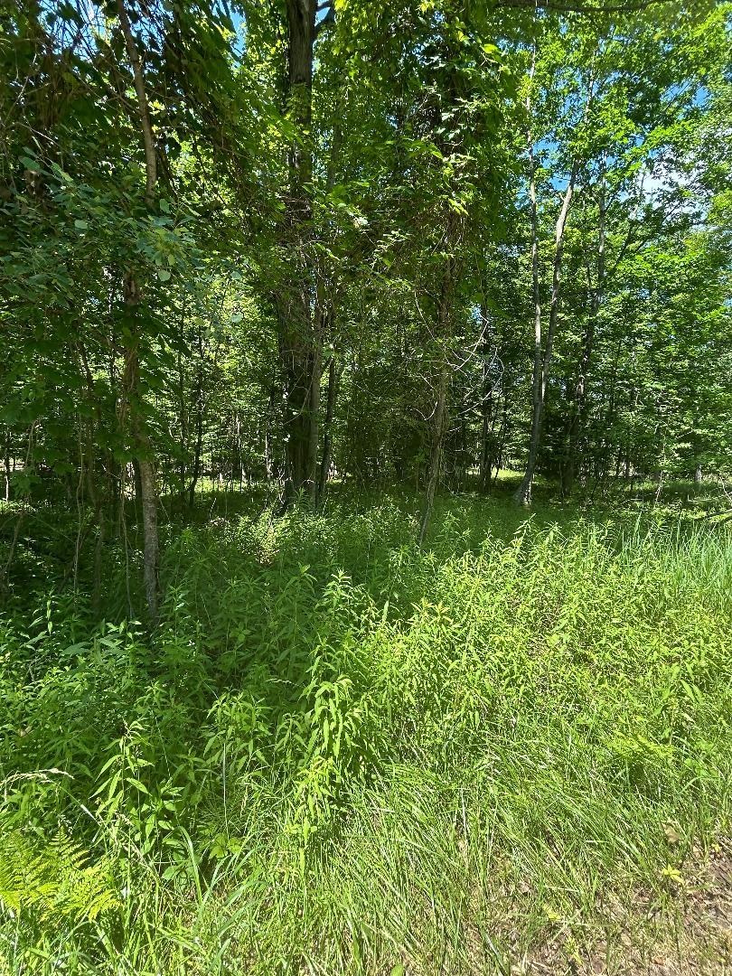 S Point Lookout Road Property Photo 1
