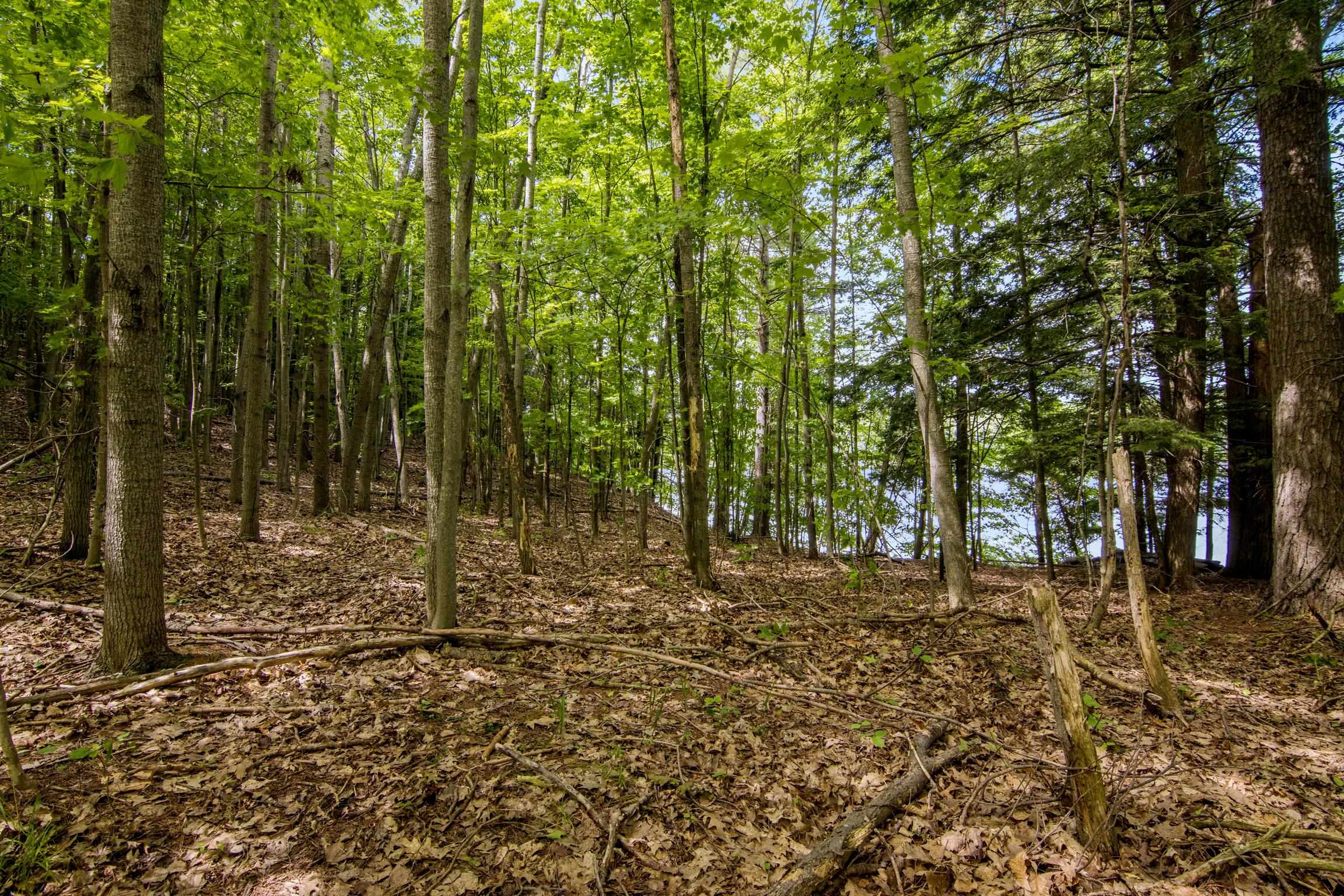 16043 Wagner Road Property Photo 31