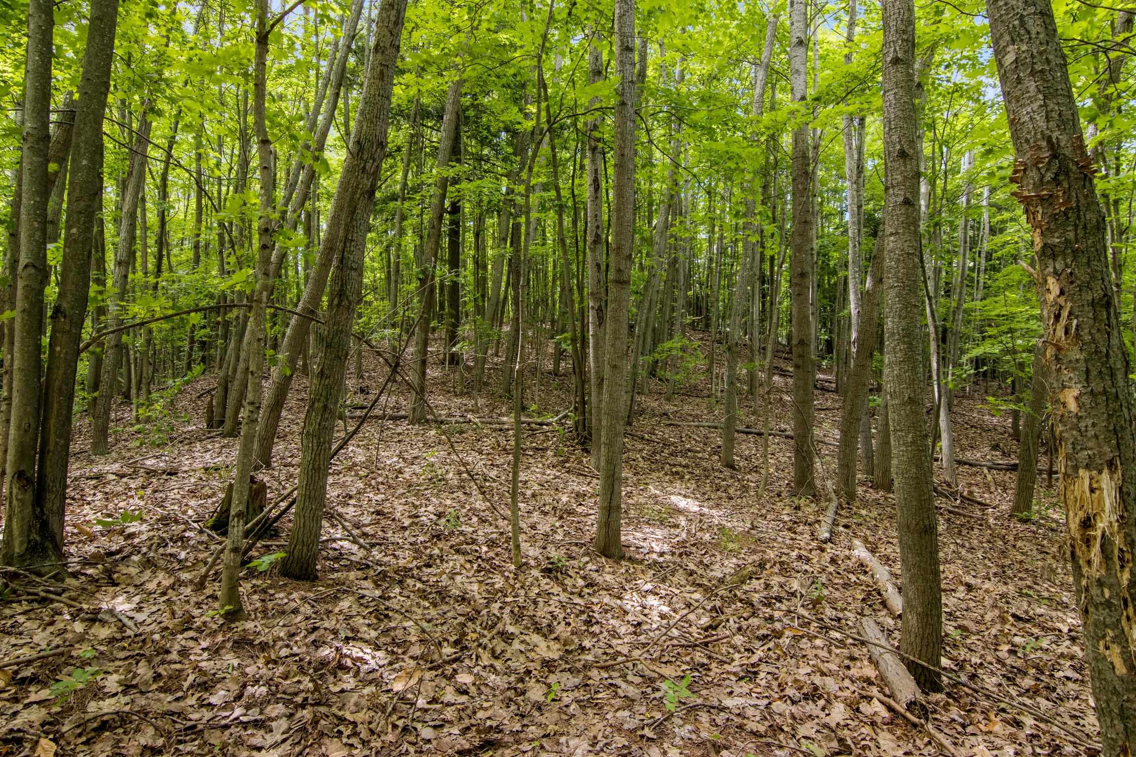 16043 Wagner Road Property Photo 32