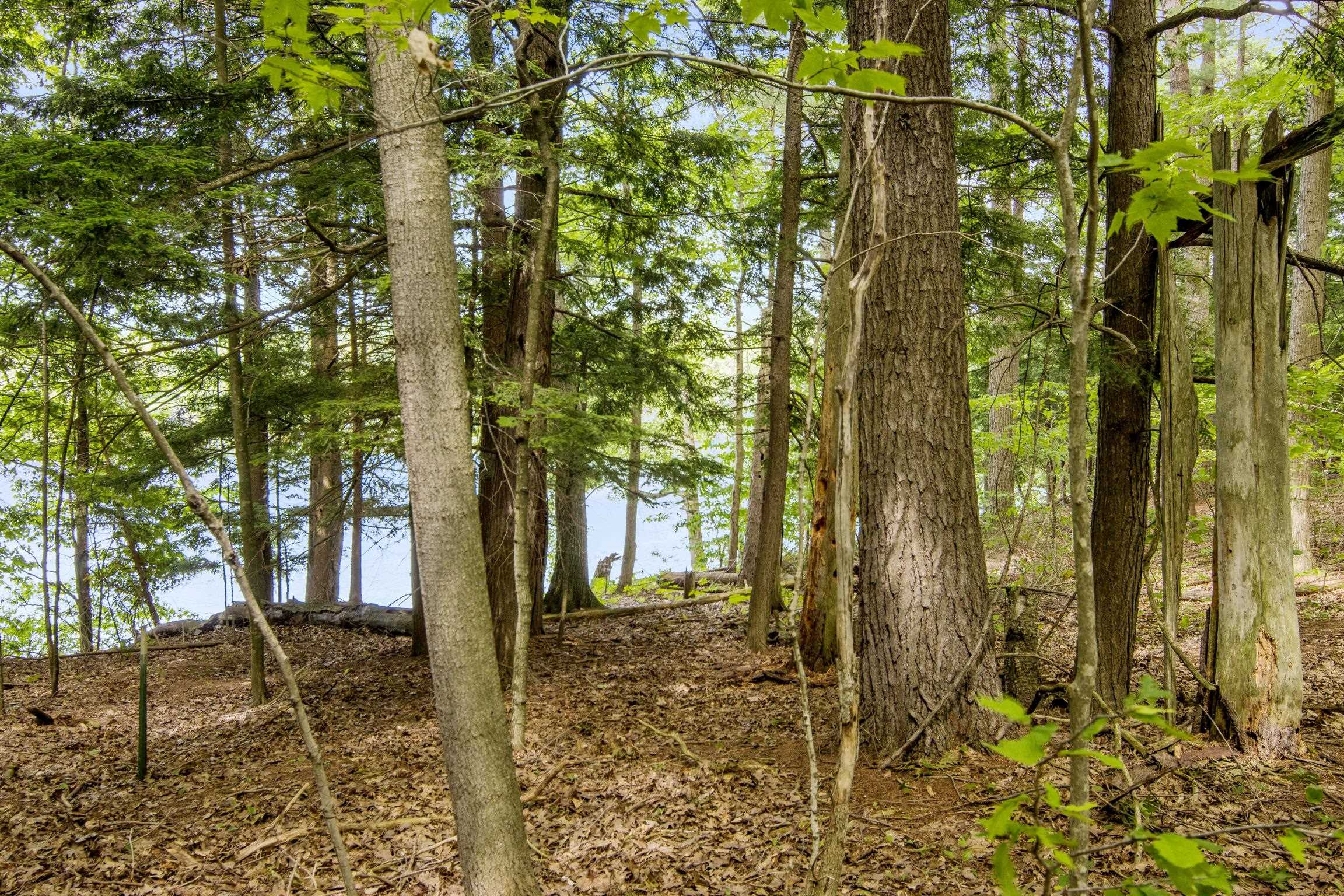 16043 Wagner Road Property Photo 33