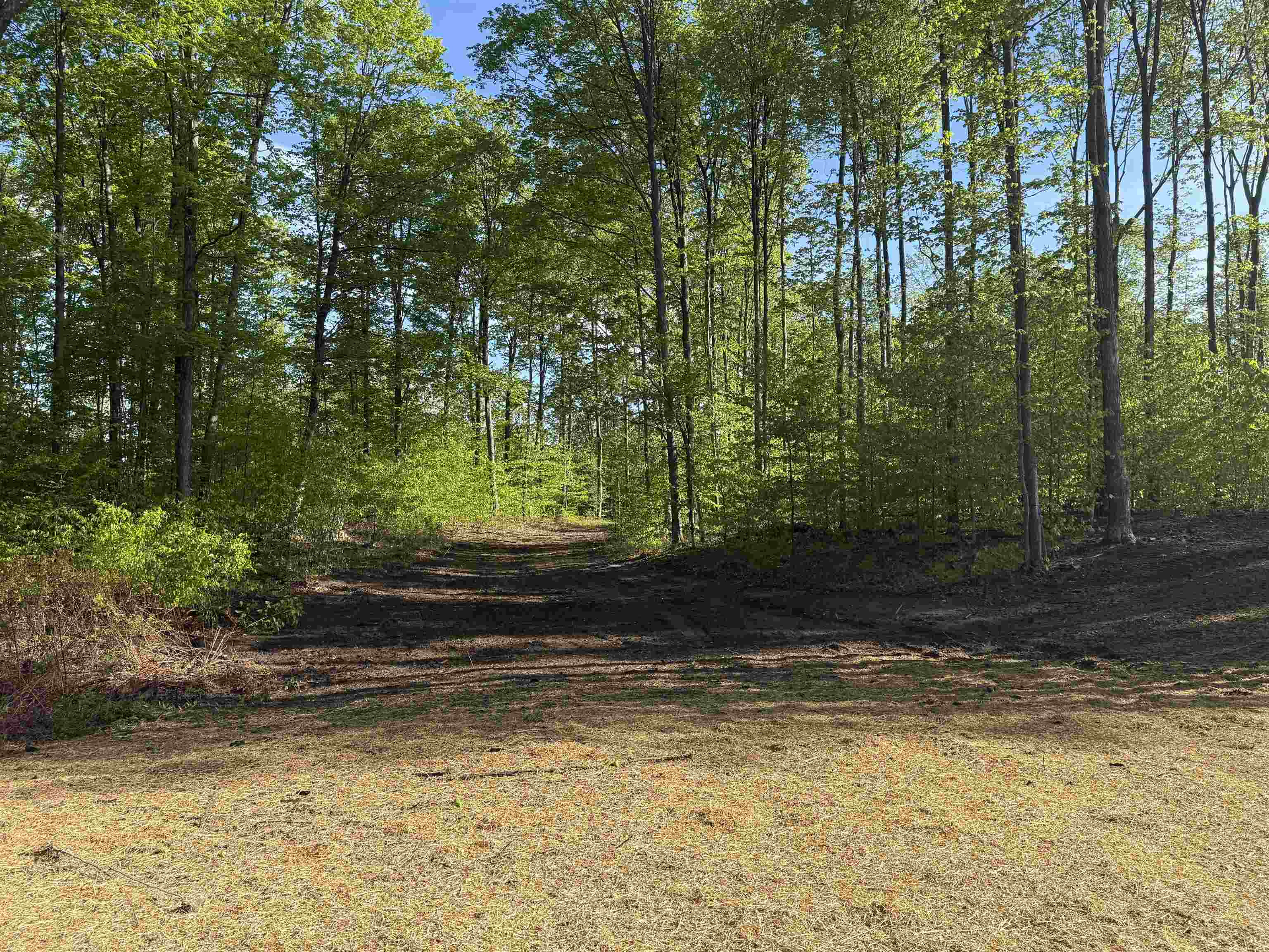 1371 E Solaris Way Property Photo 2
