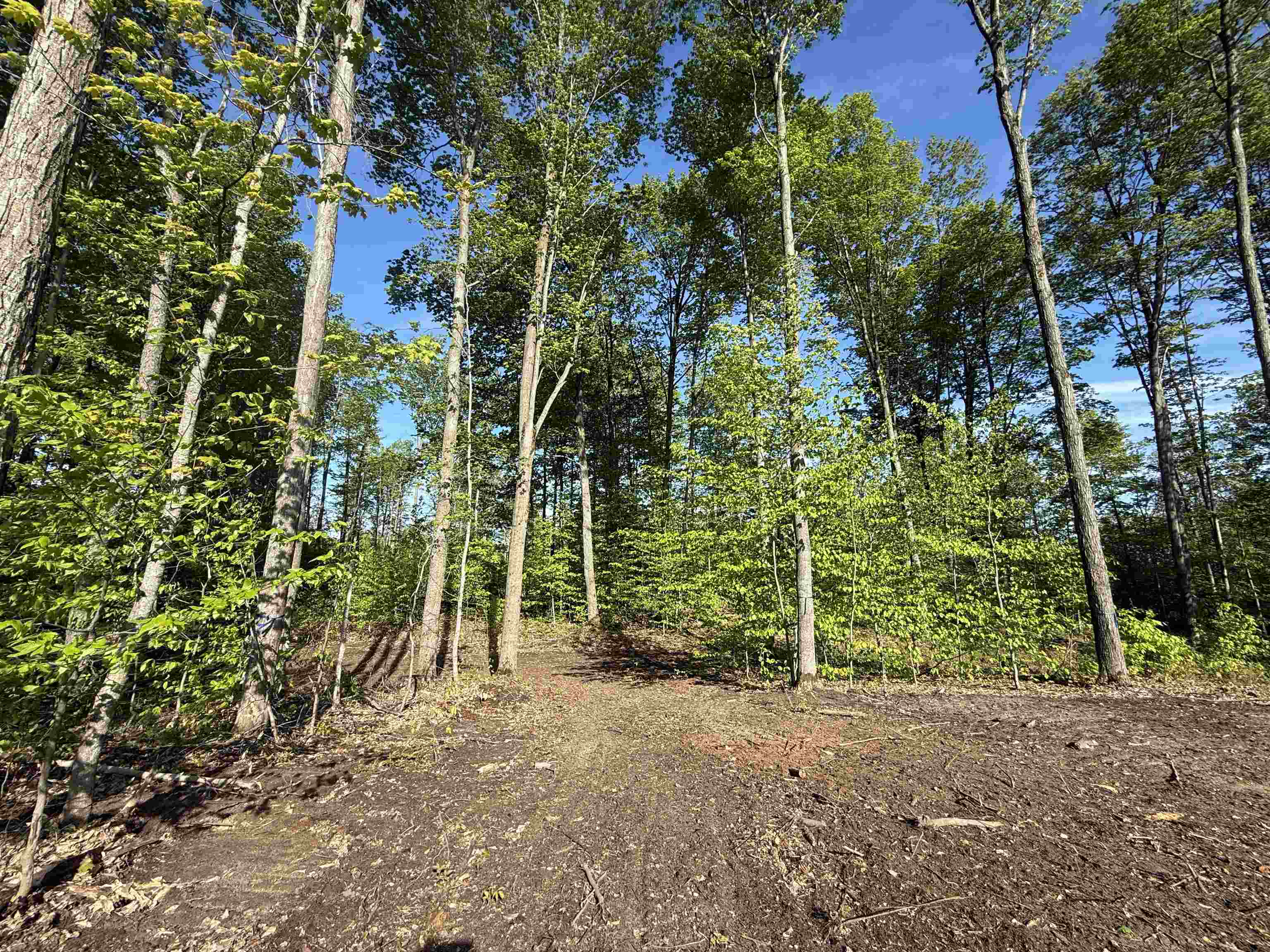 1371 E Solaris Way Property Photo 3