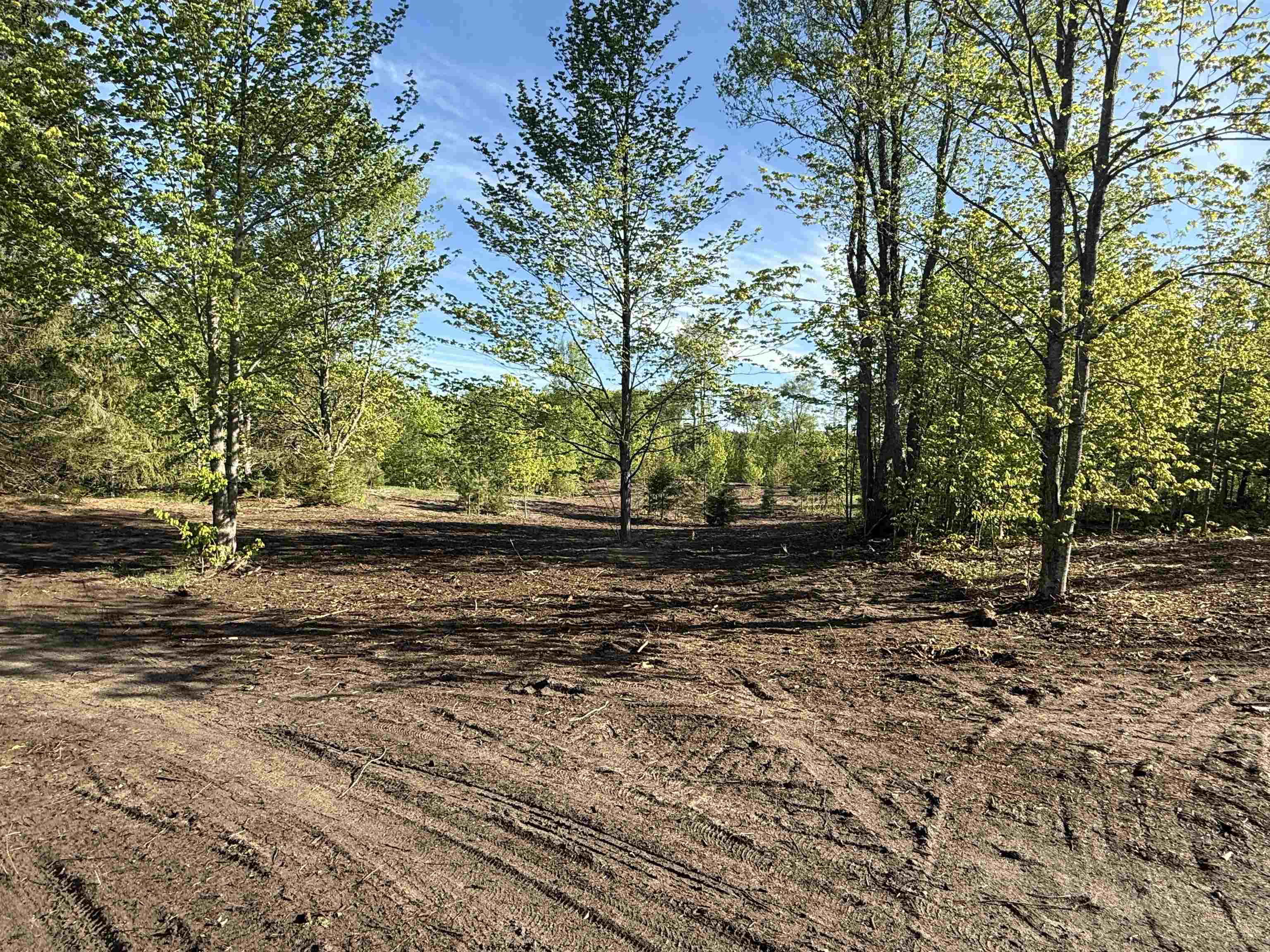 1007 E Solaris Way Property Photo 2