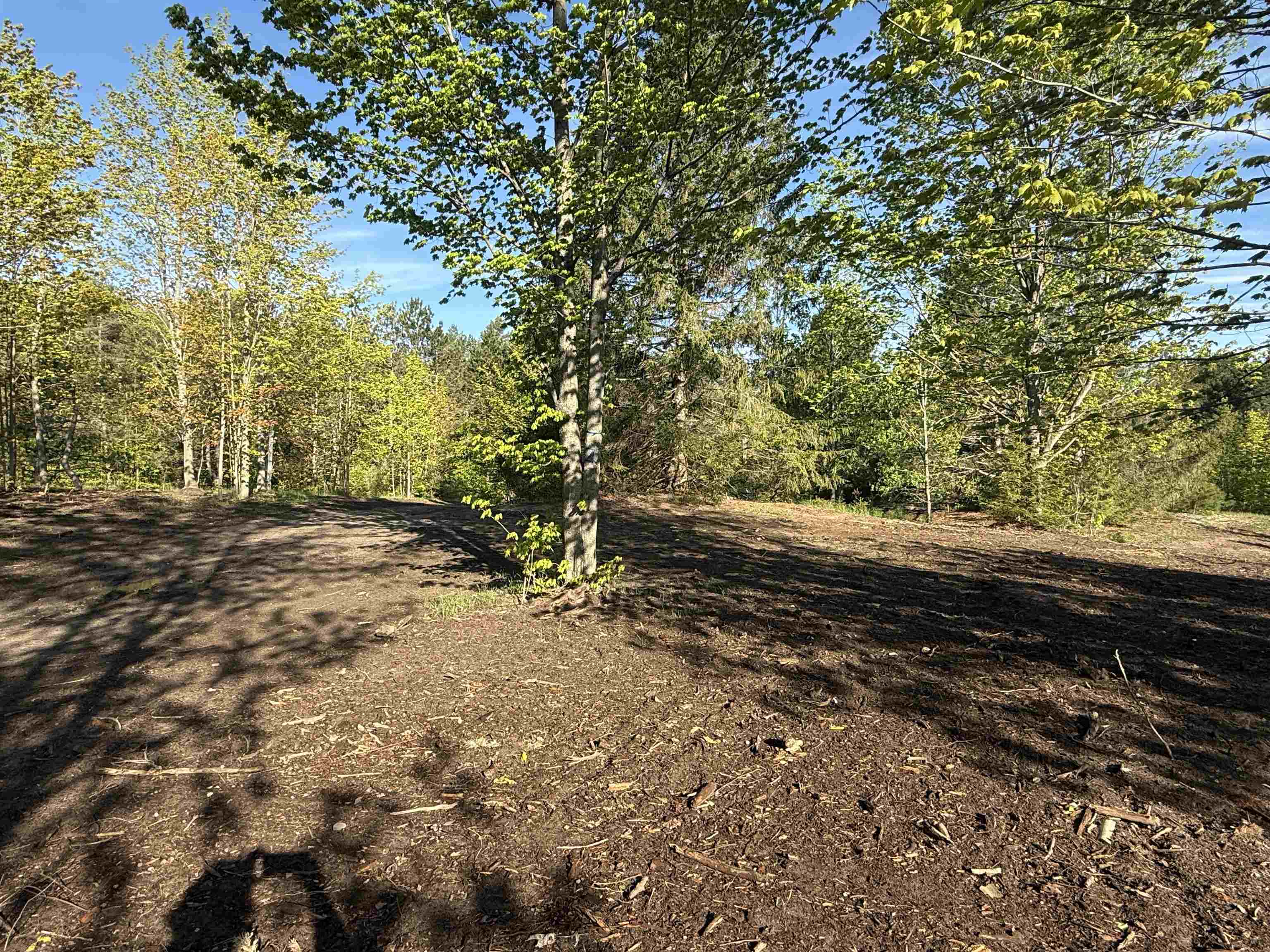1007 E Solaris Way Property Photo 3