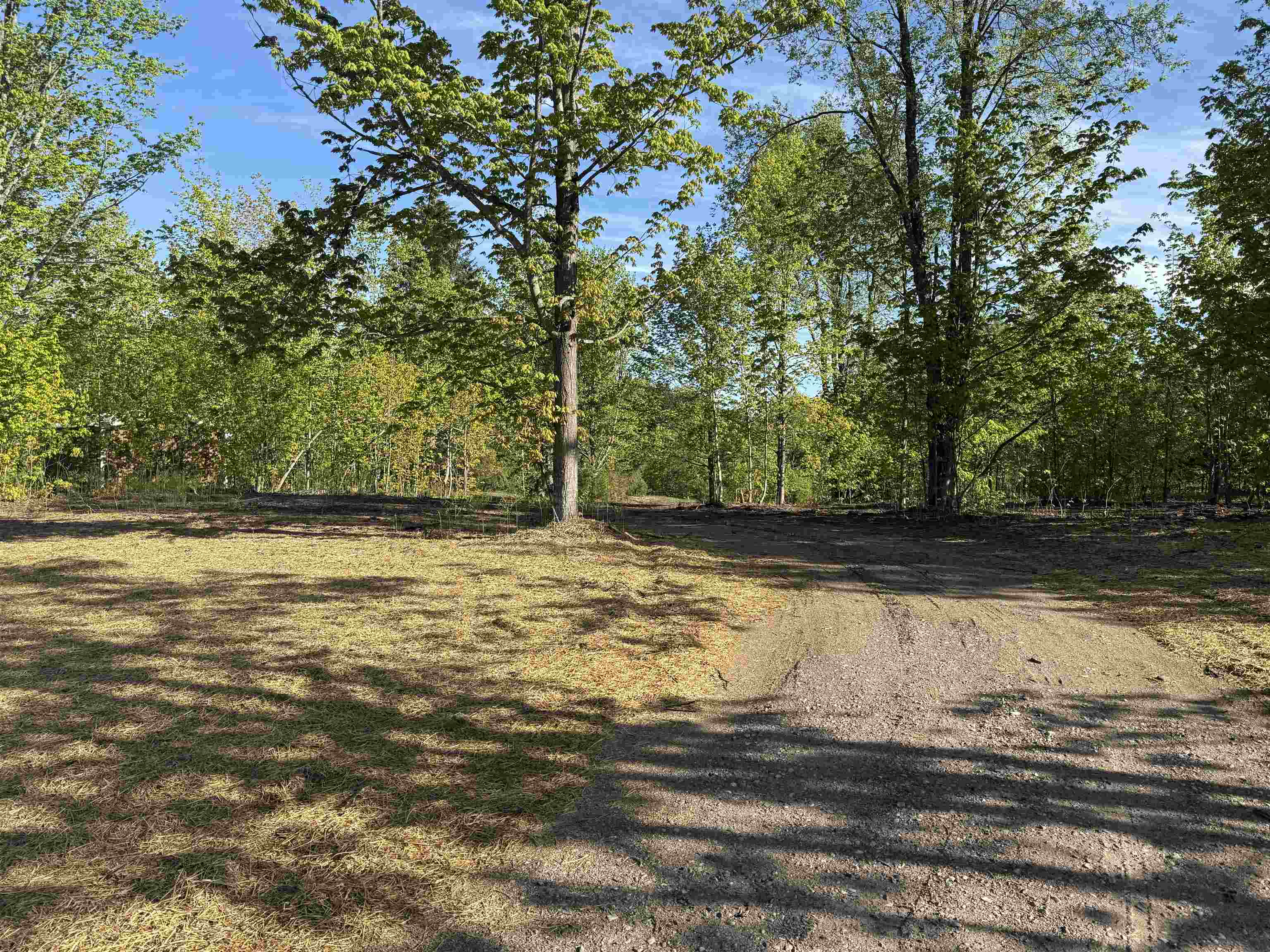 1007 E Solaris Way Property Photo 9