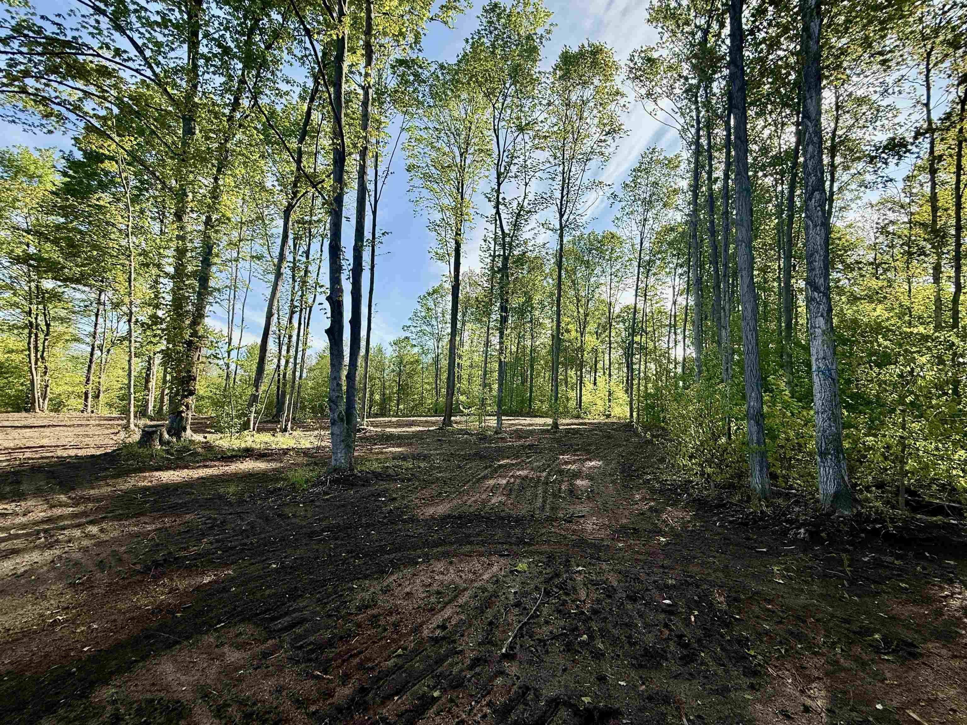 1155 E Solaris Way Property Photo 3
