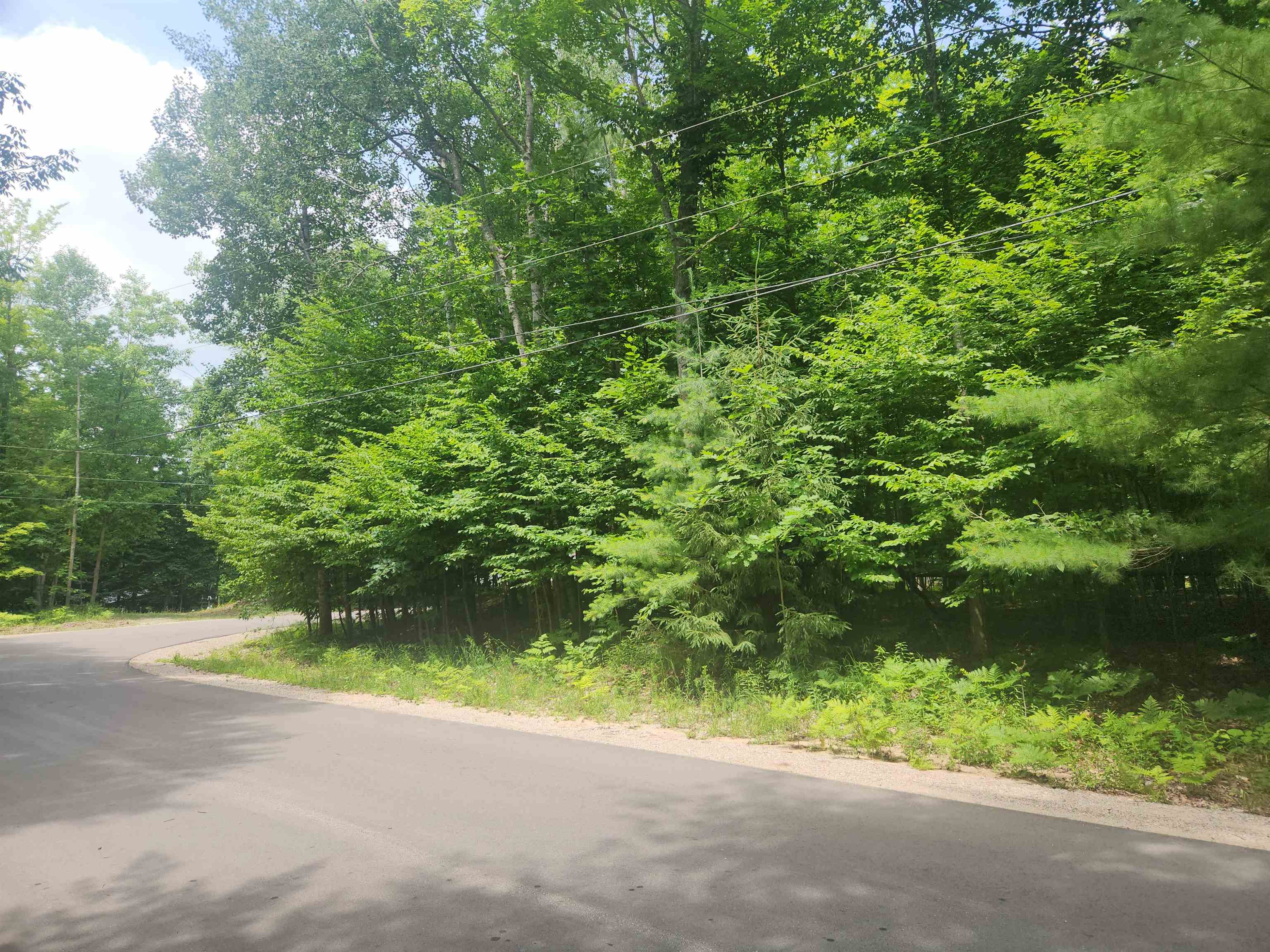 00 Birch View Trail Property Photo 1