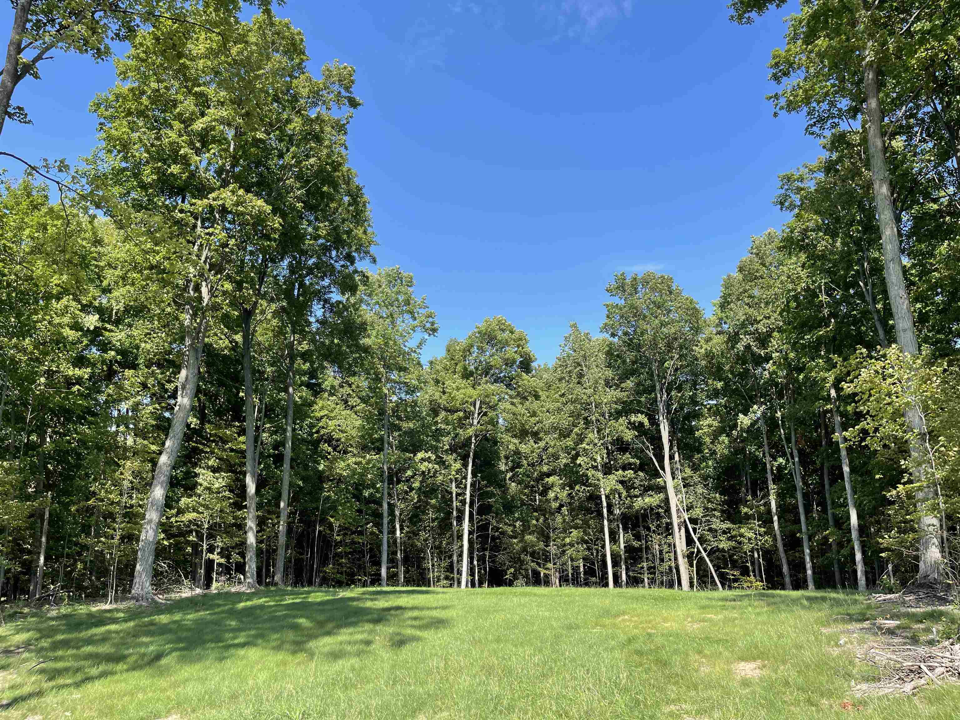 5028 Paradise Ranch Property Photo 23