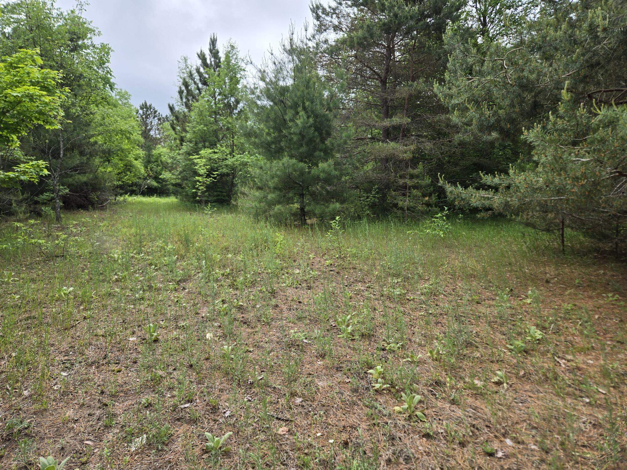 Parcels 1 & 2 Maple Property Photo 7