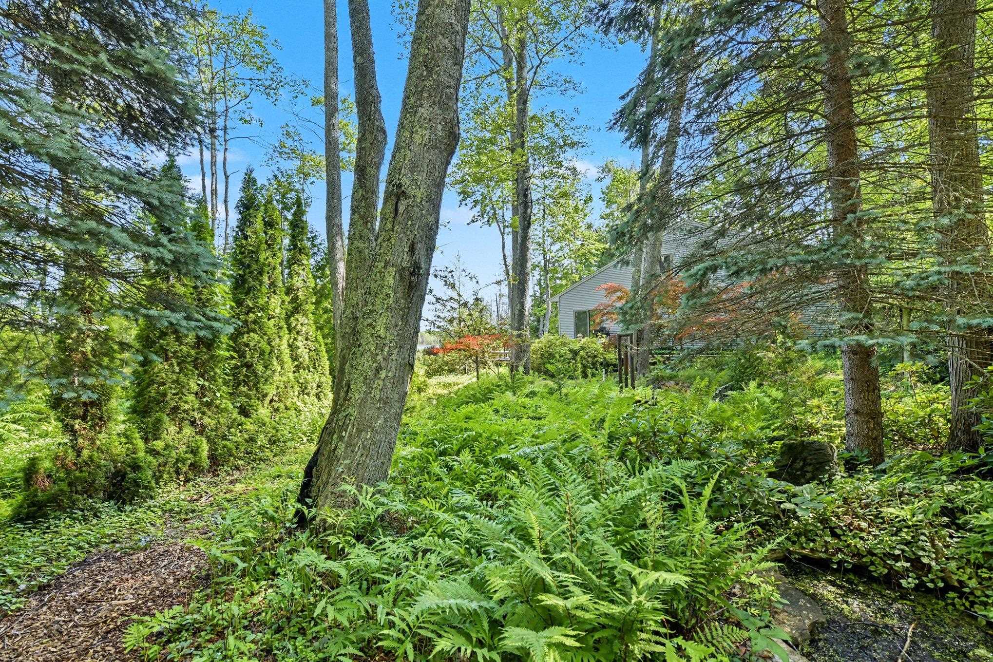 9948 Harmony Drive Property Photo 50