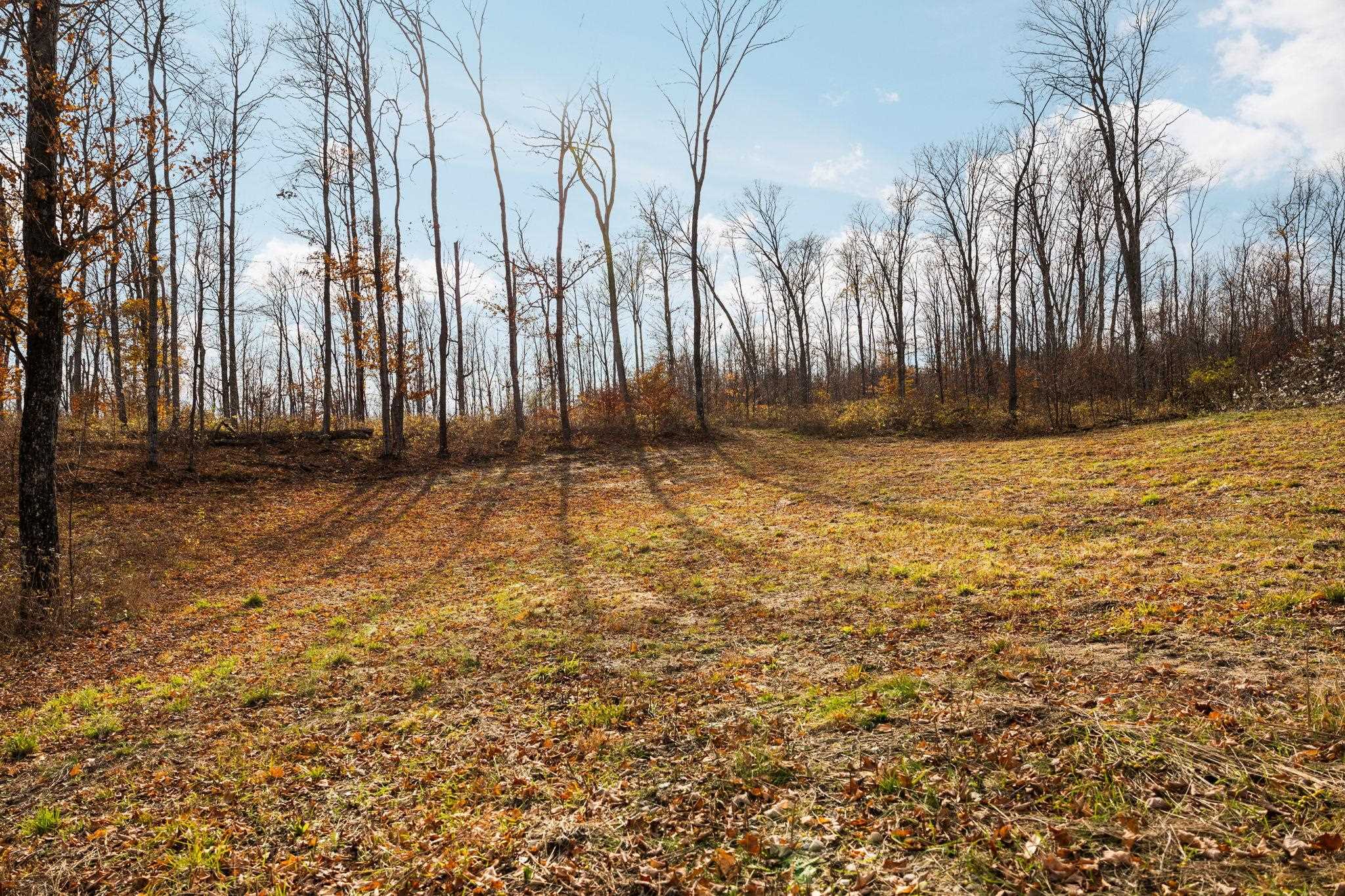 10550 S Cedar Road Property Photo 28
