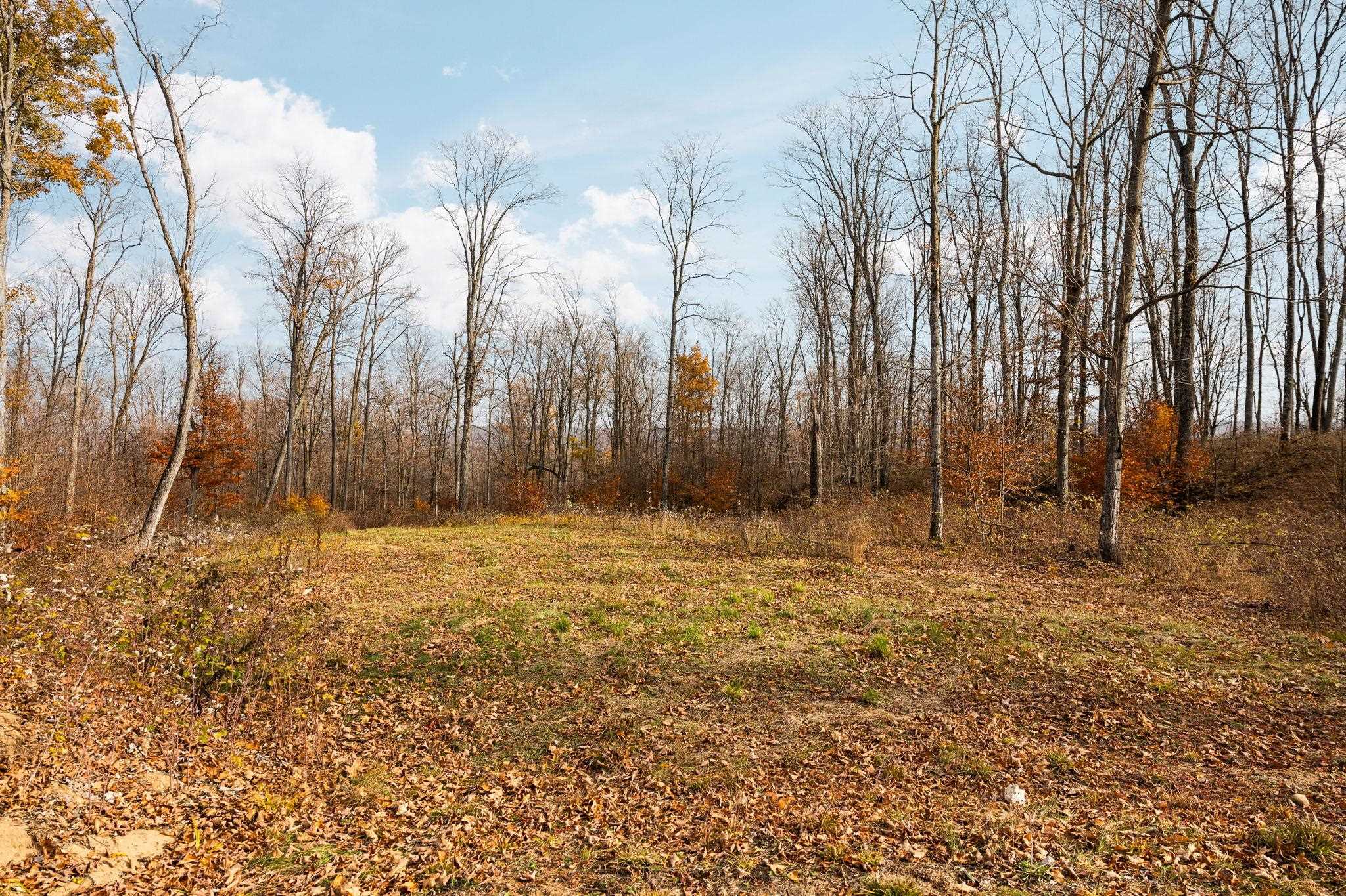 10550 S Cedar Road Property Photo 29