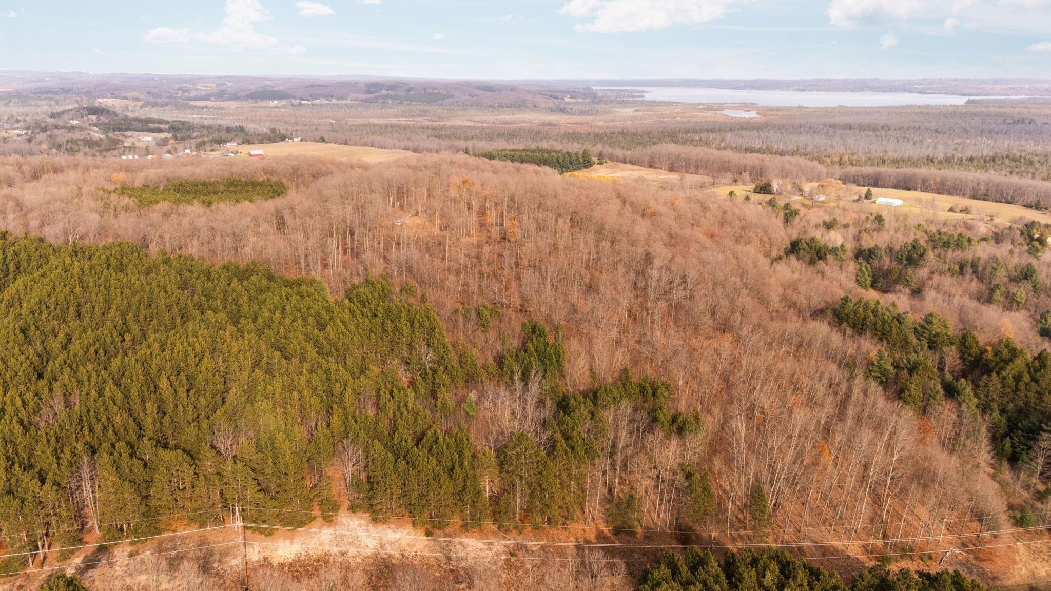 10550 S Cedar Road Property Photo 37
