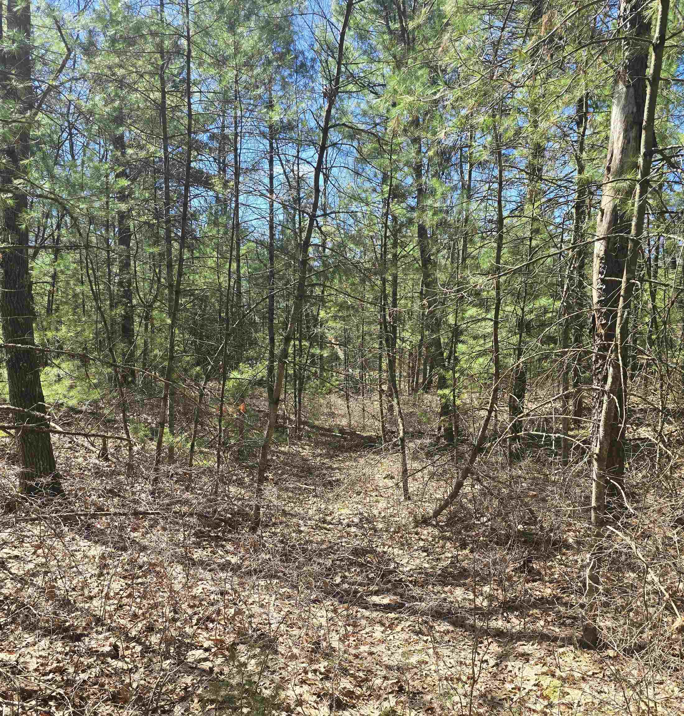 4699 Johnson Road Property Photo 1