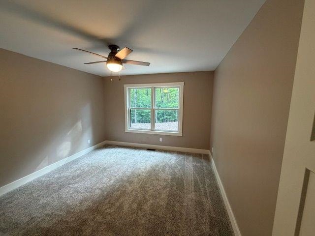 2418 Hawks Eye Drive Property Photo 7