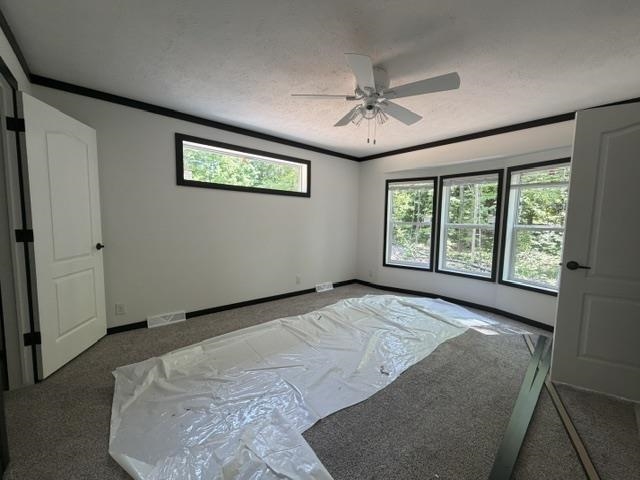 3067 White Tail Drive Property Photo 11