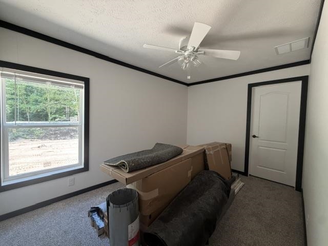3067 White Tail Drive Property Photo 18