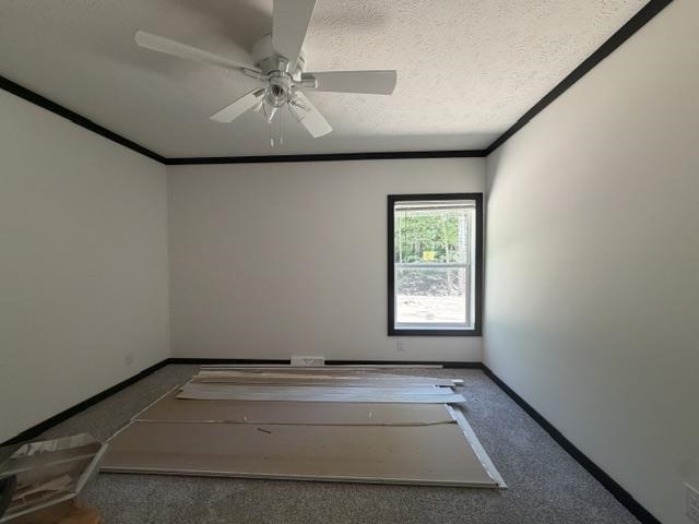 3067 White Tail Drive Property Photo 19