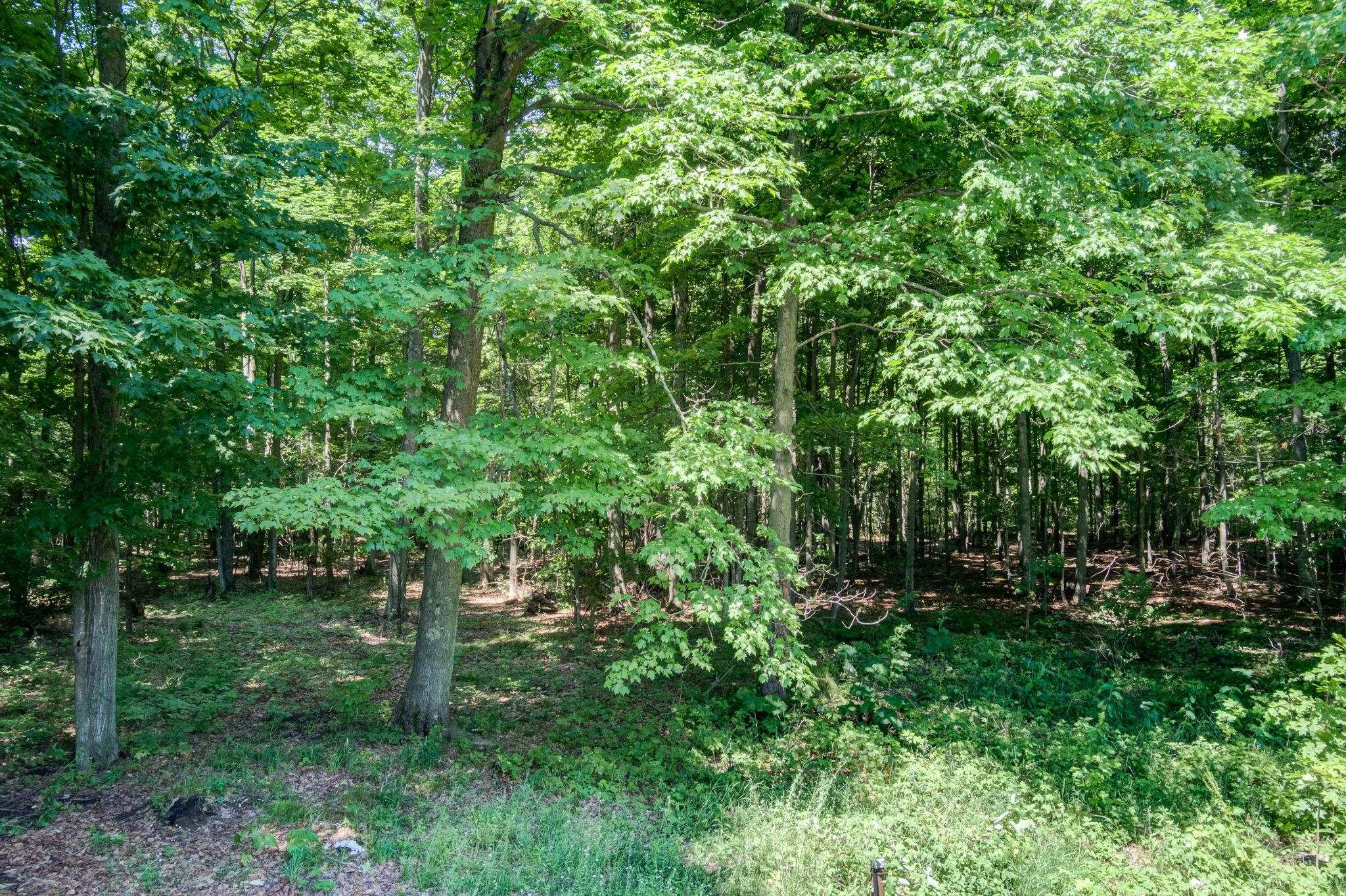 223 Pinecrest Lane Property Photo 45